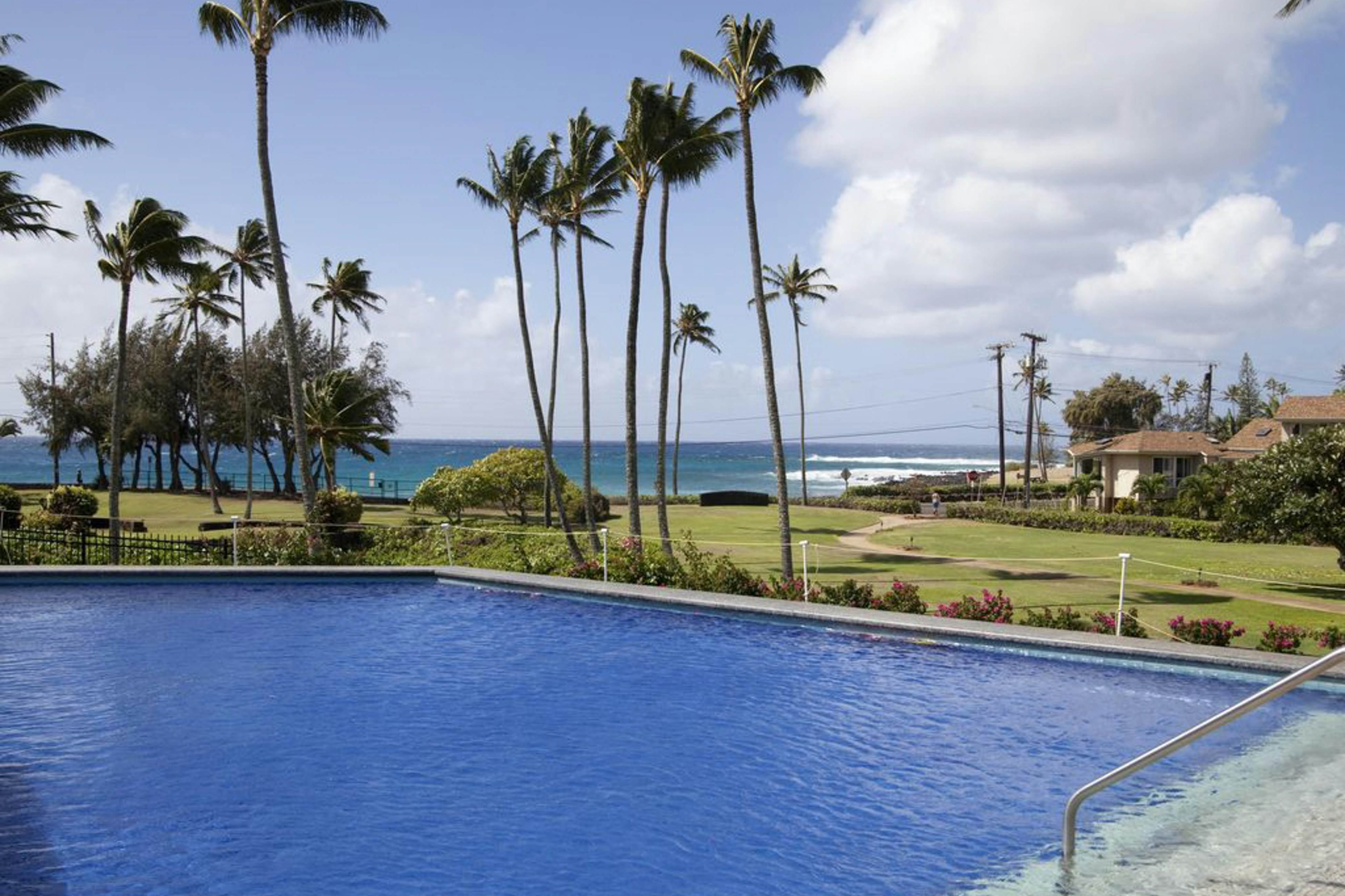 Sweet Oceanside Aloha