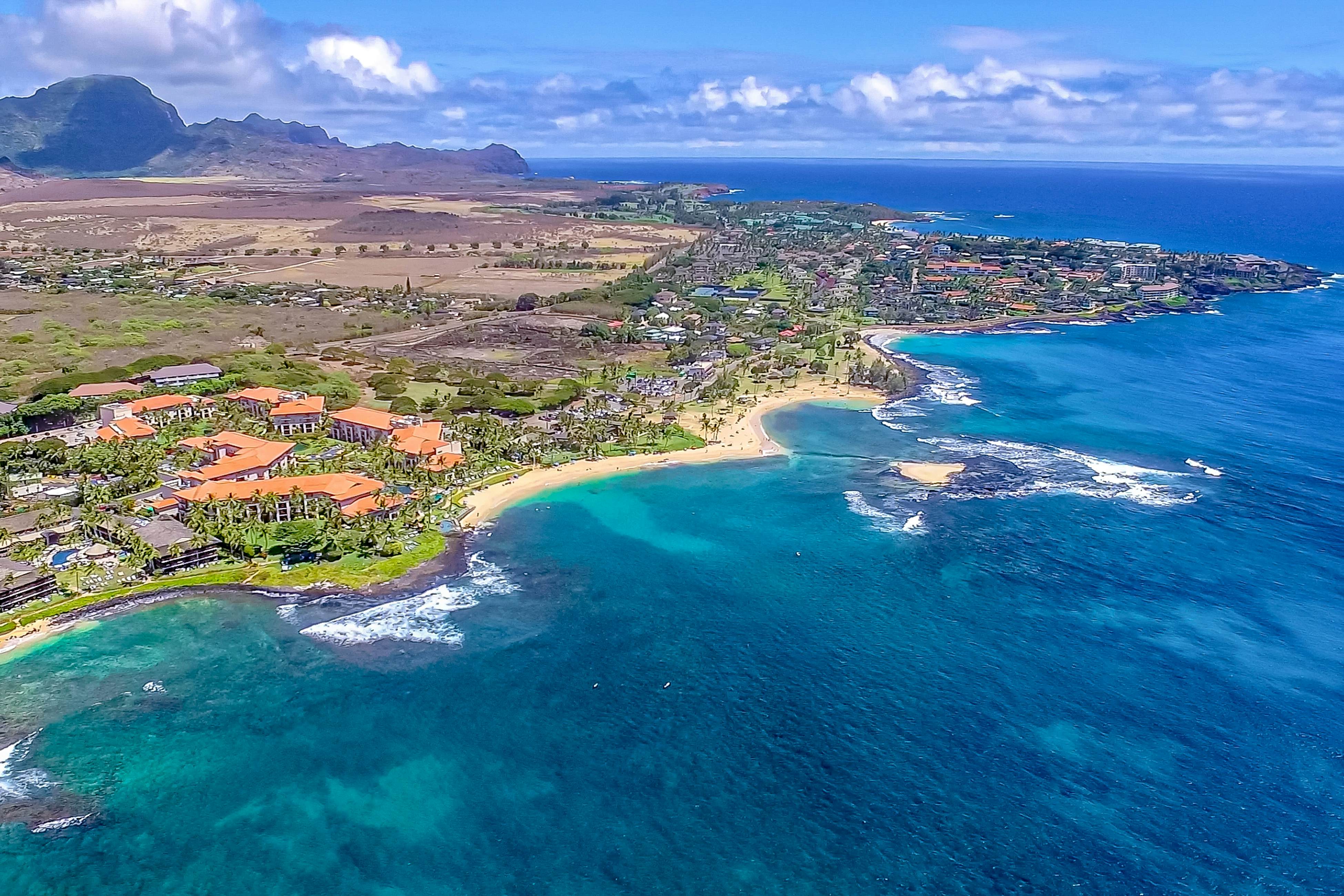 Sweet Oceanside Aloha