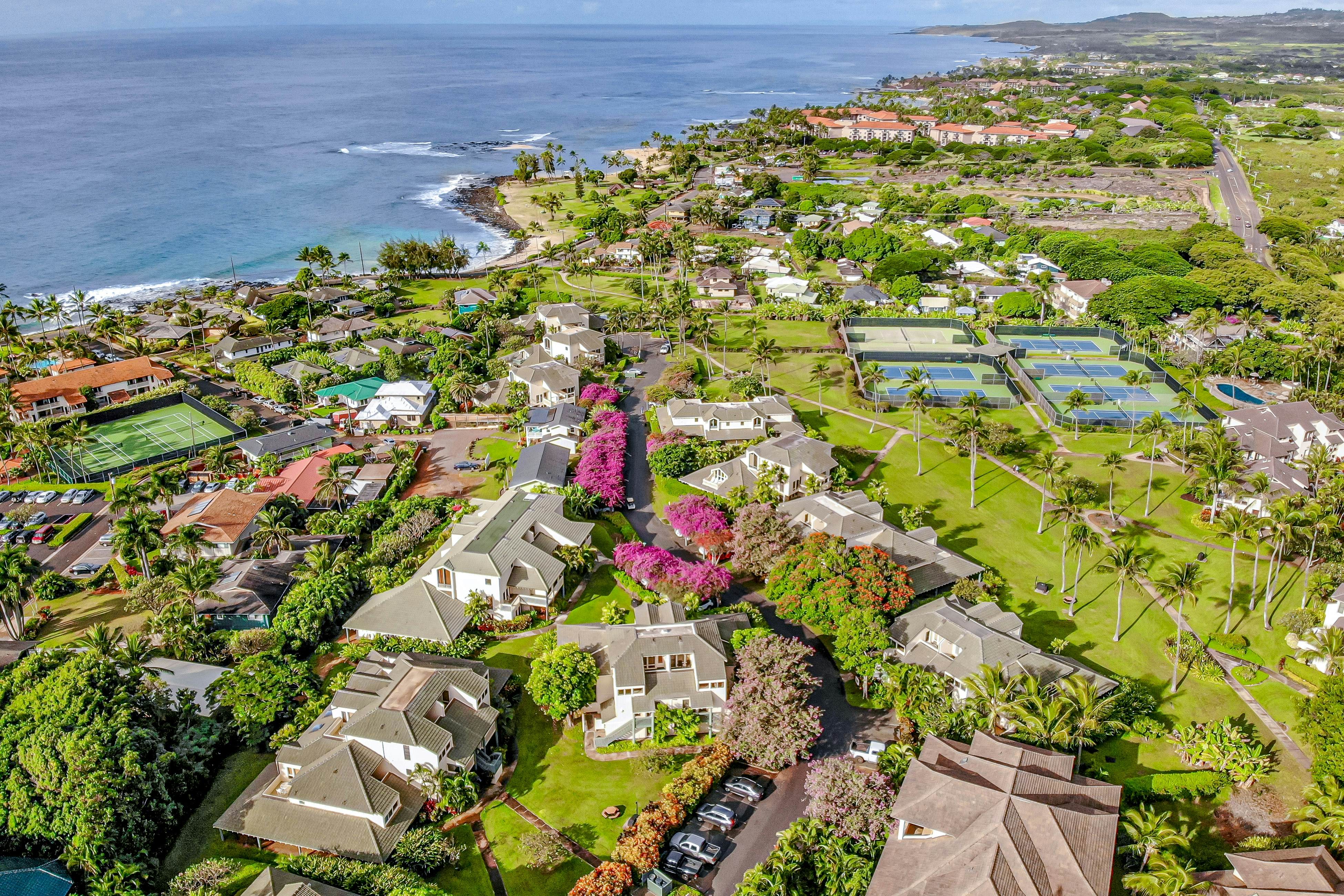 Sweet Oceanside Aloha