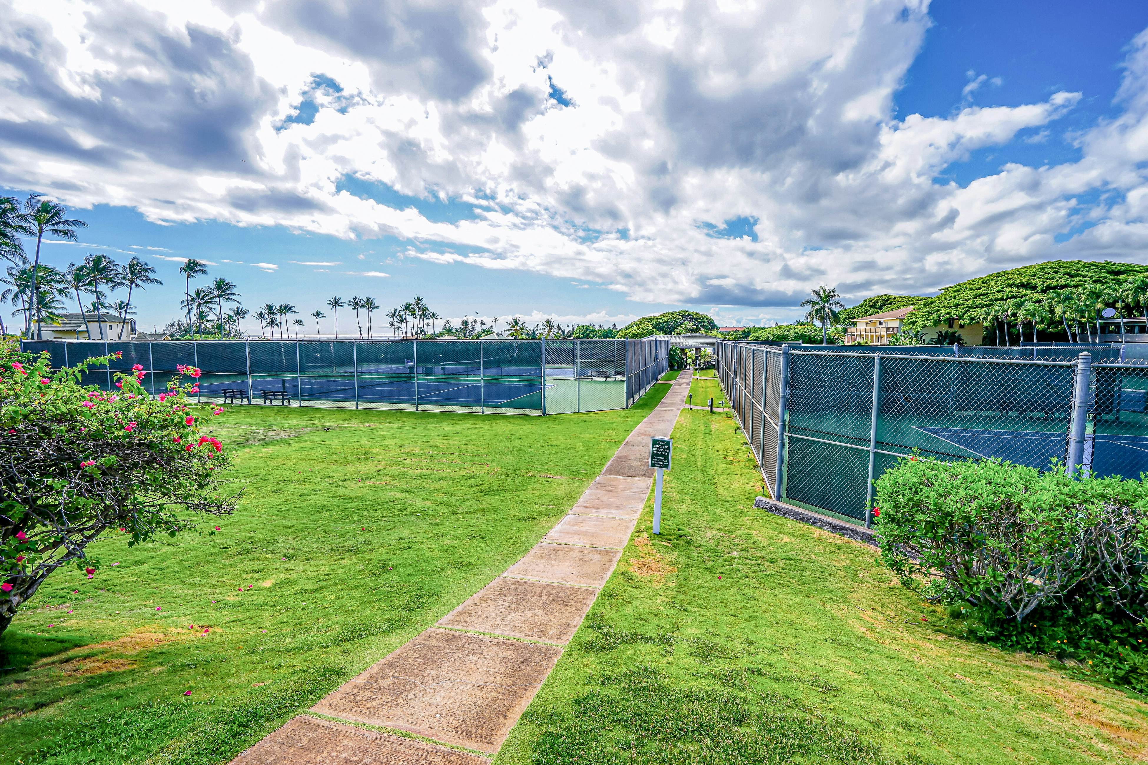 Sweet Oceanside Aloha