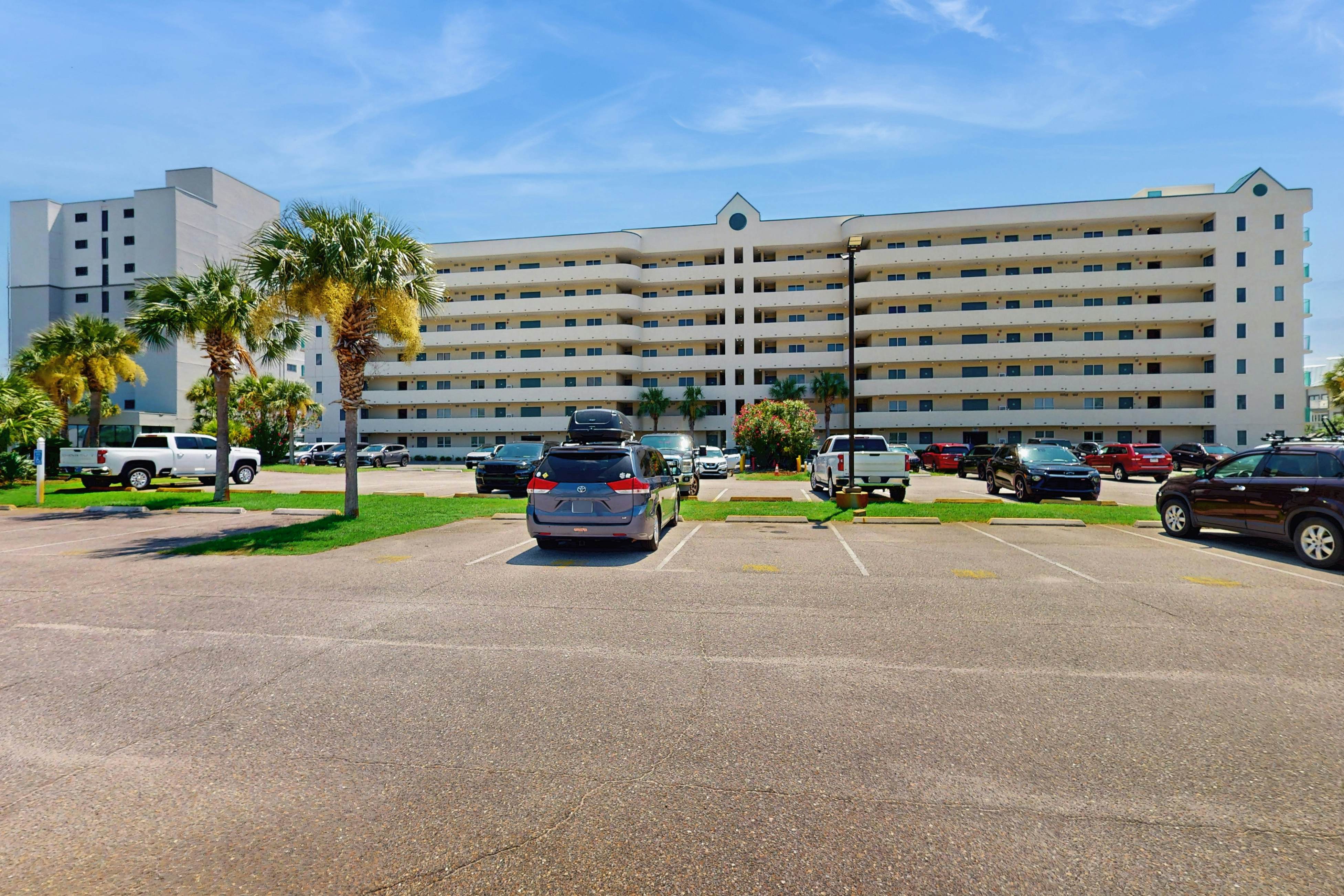 Plantation Palms #6208