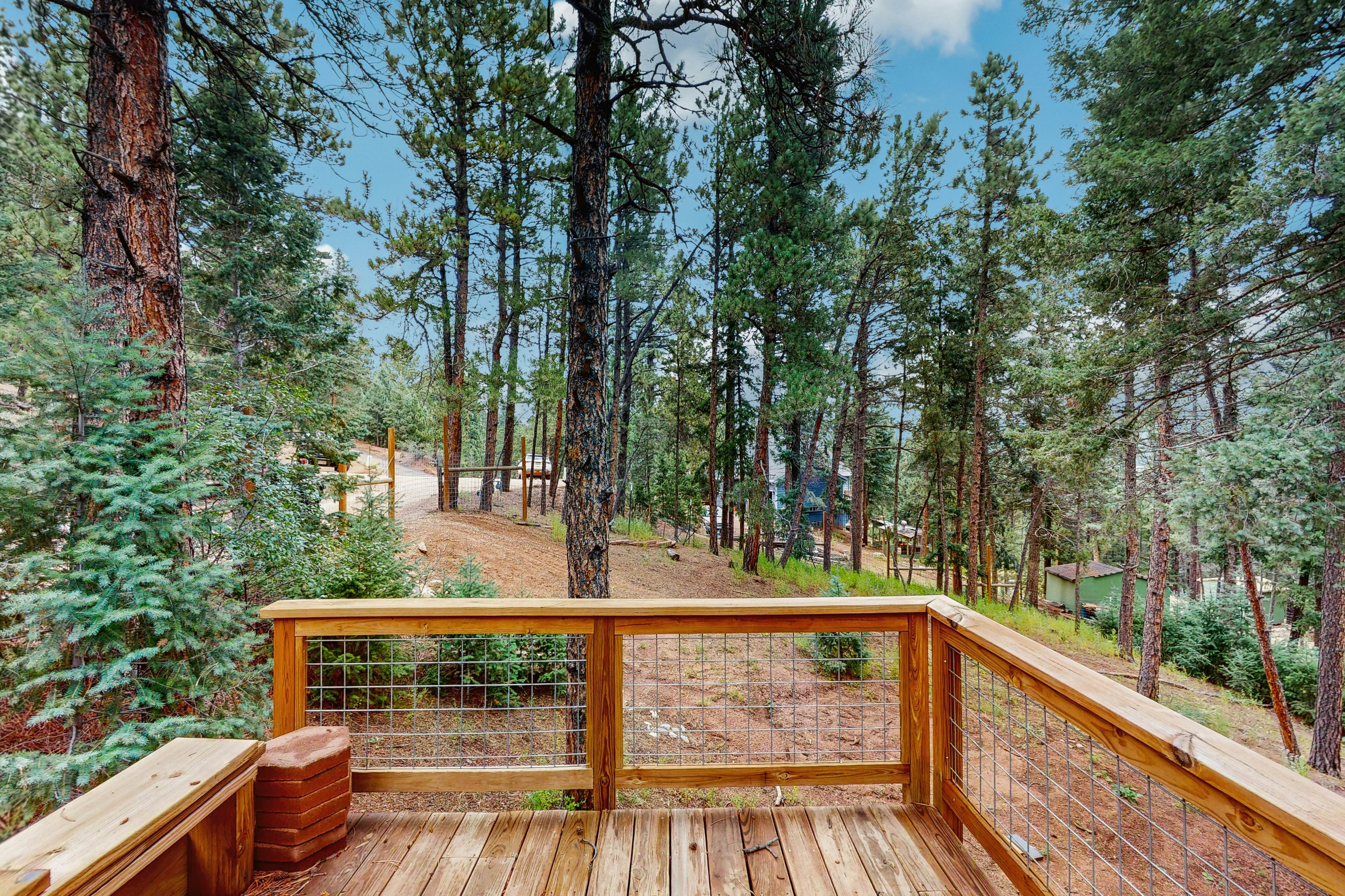 The Lookout at Woodland Park