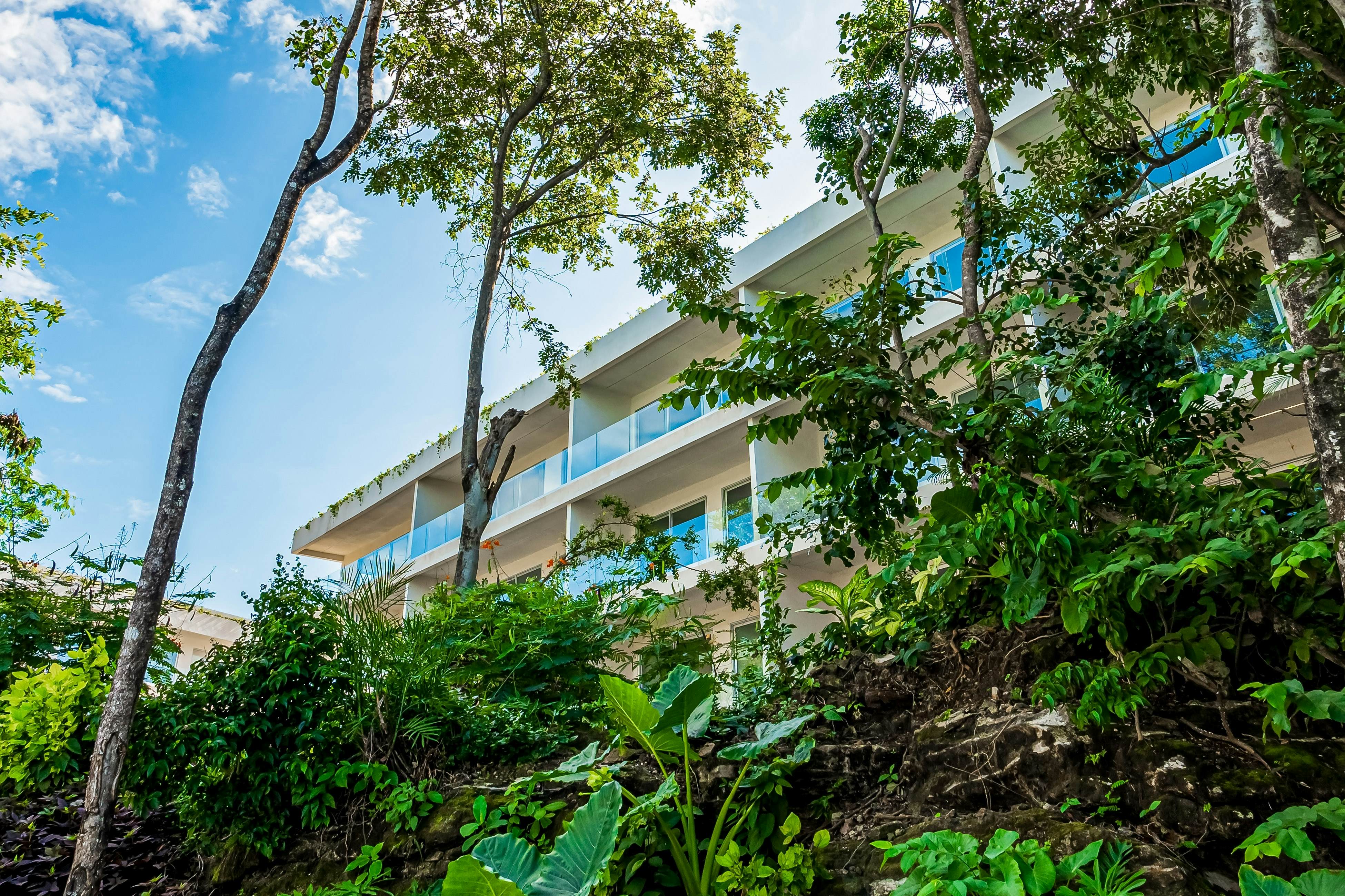 The Marlin Nook TL B008