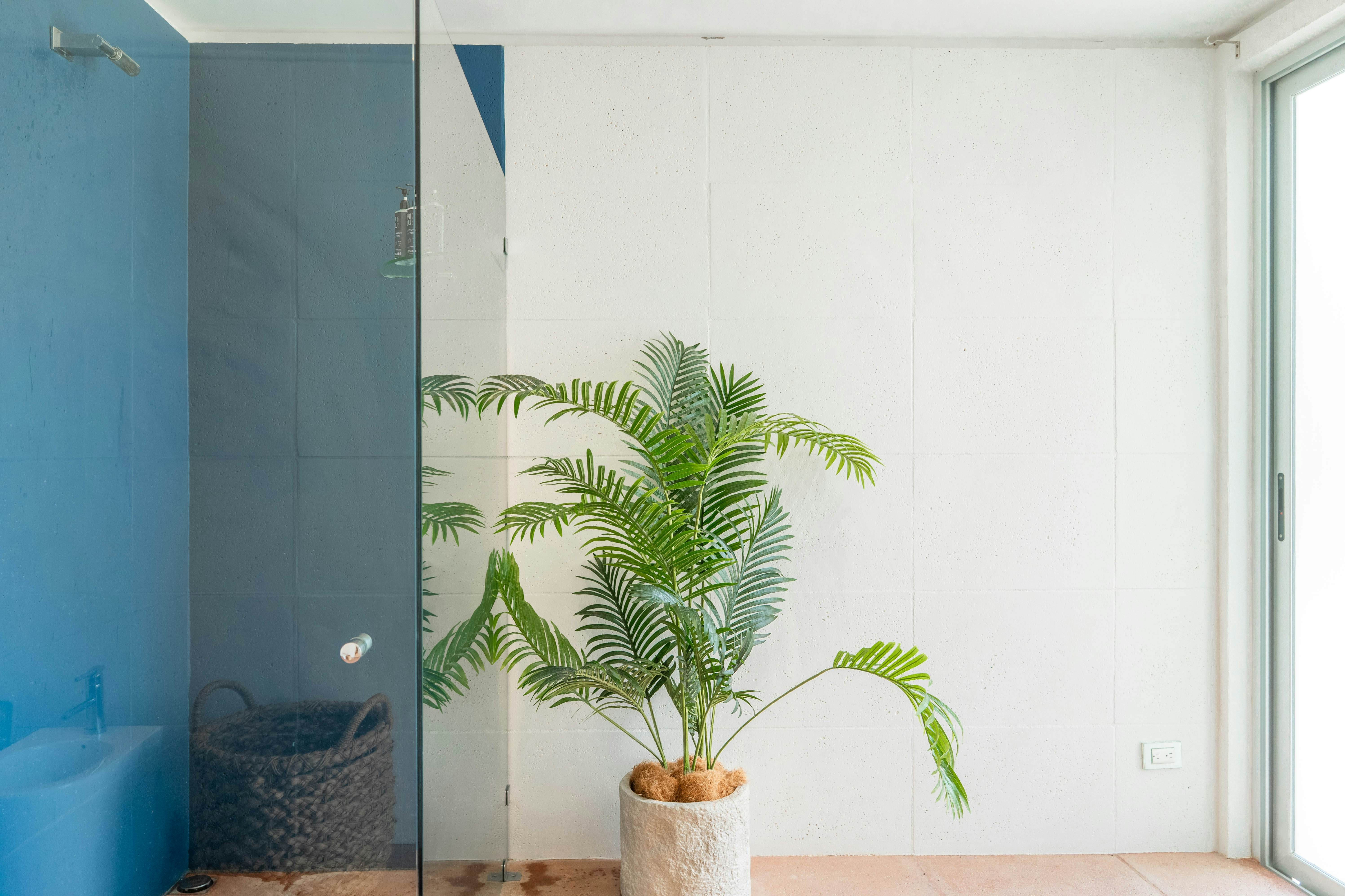 Hermosa Wave A2 & B2