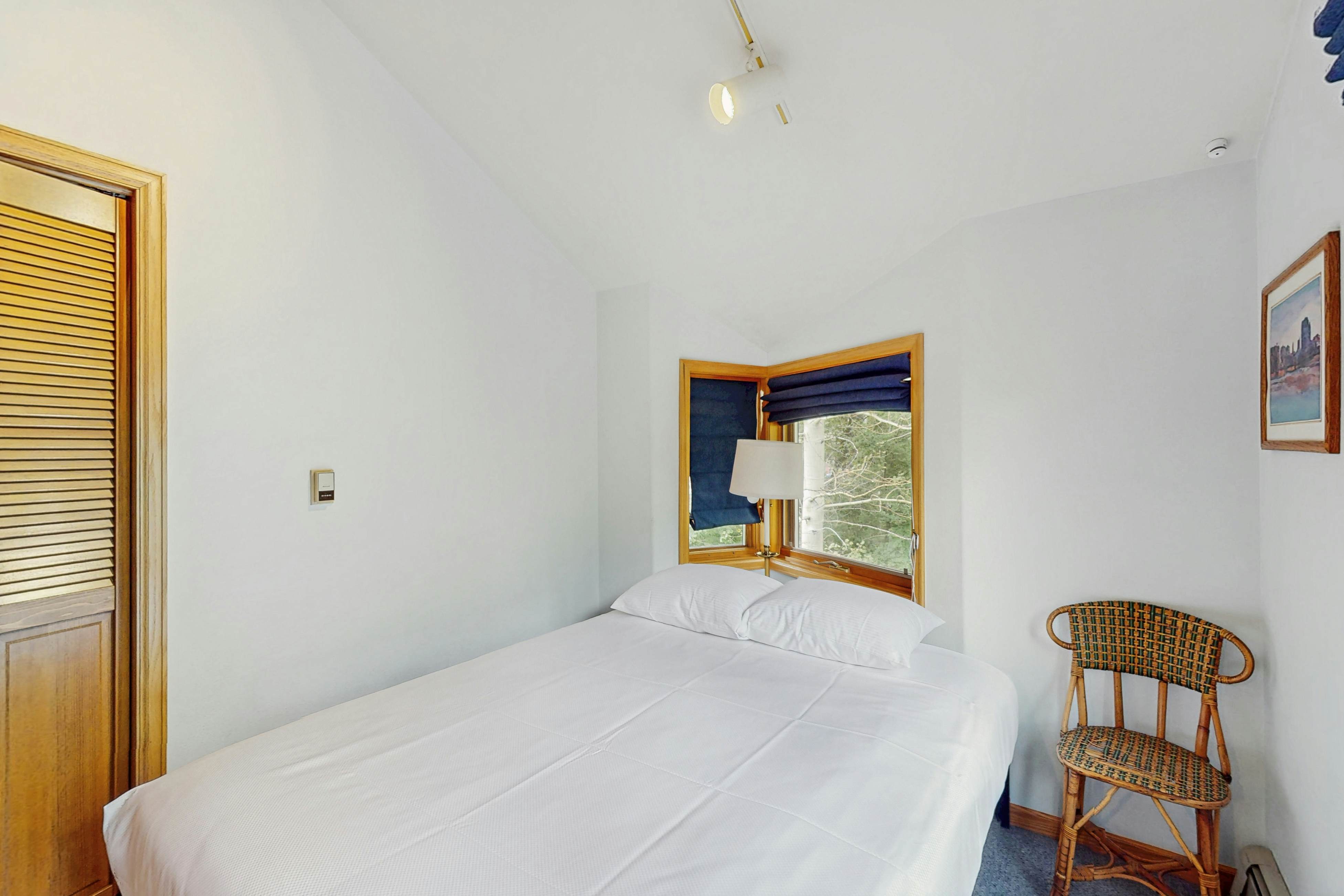 Snowbound and Streamside