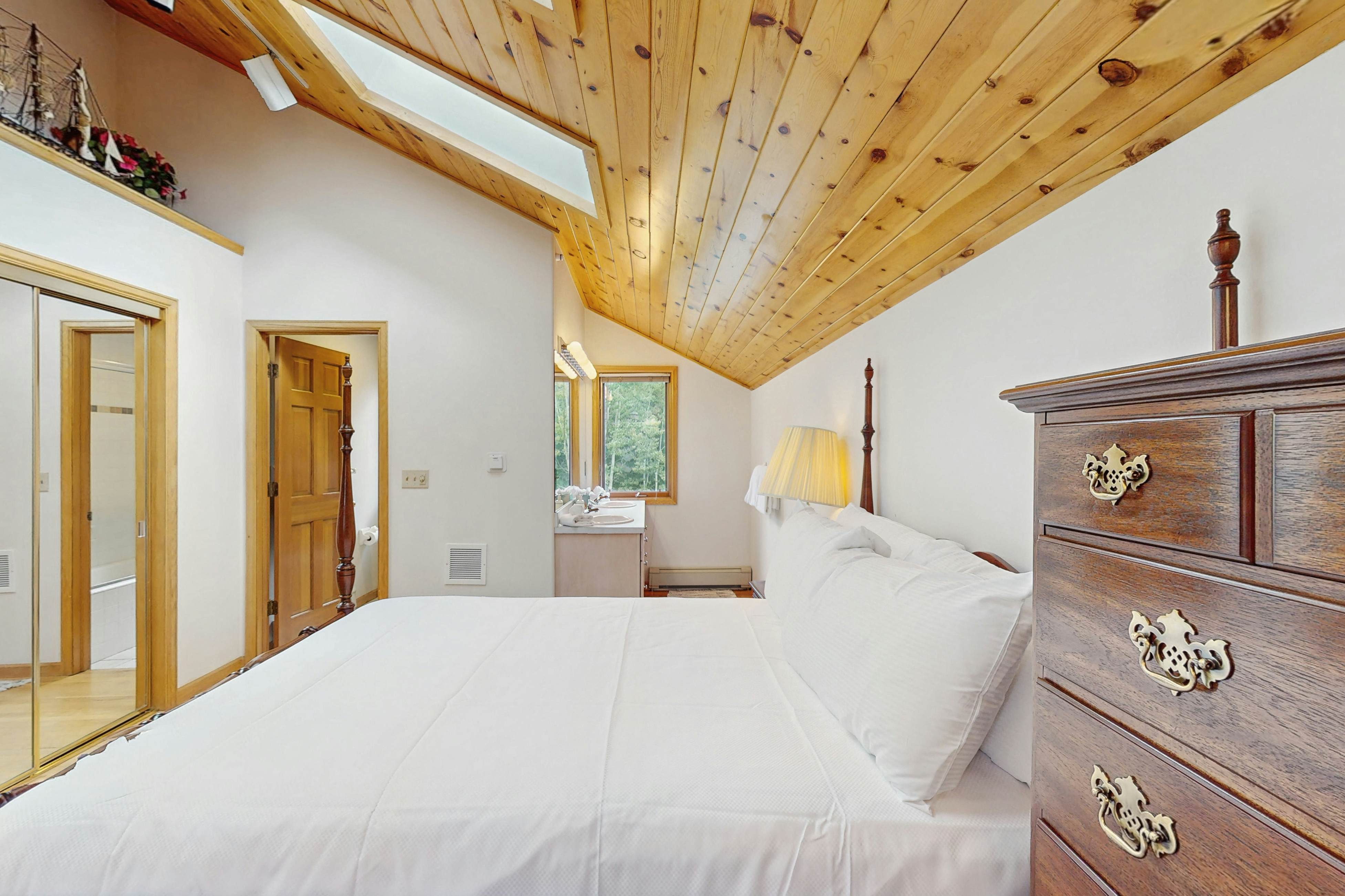 Snowbound and Streamside