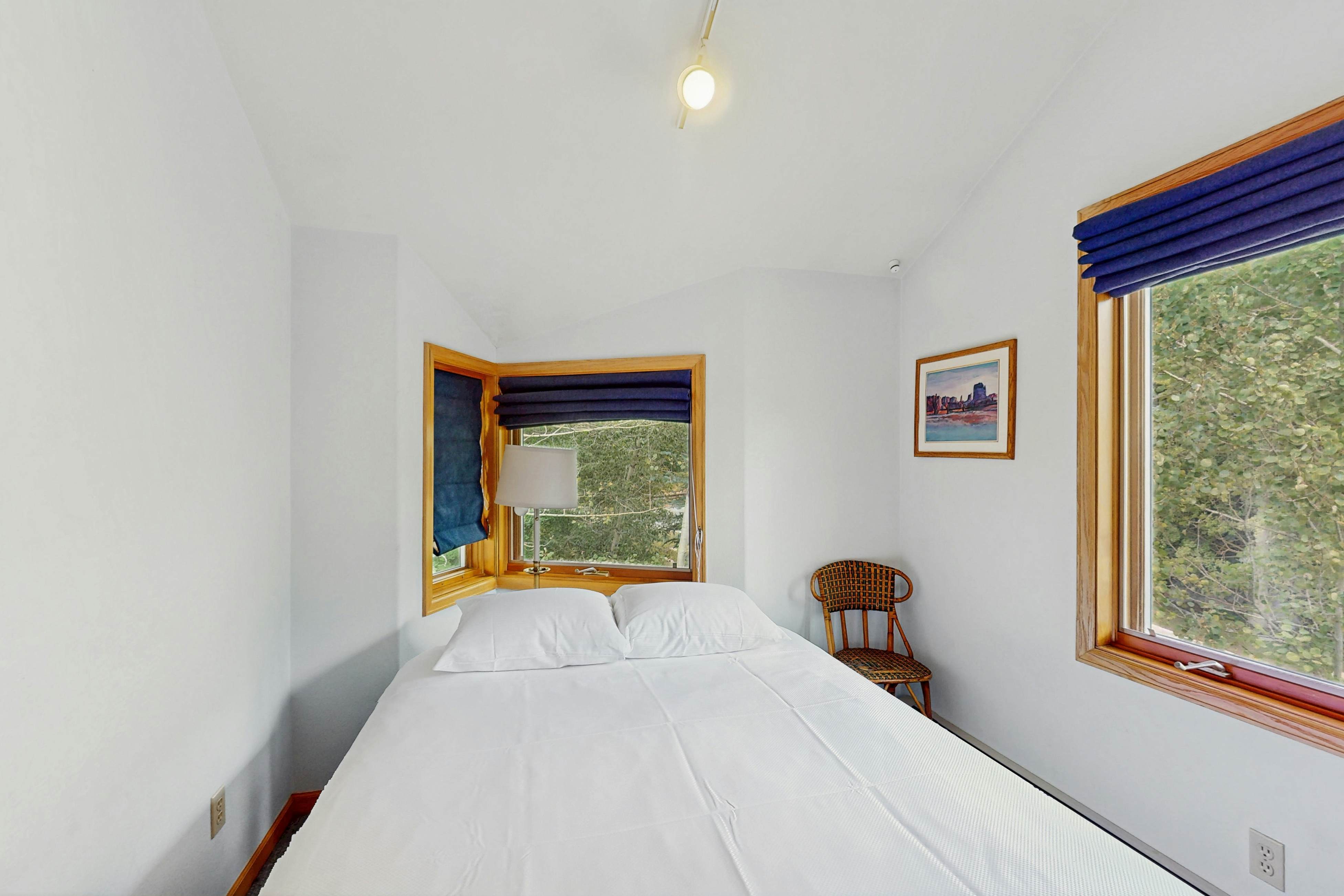 Snowbound and Streamside