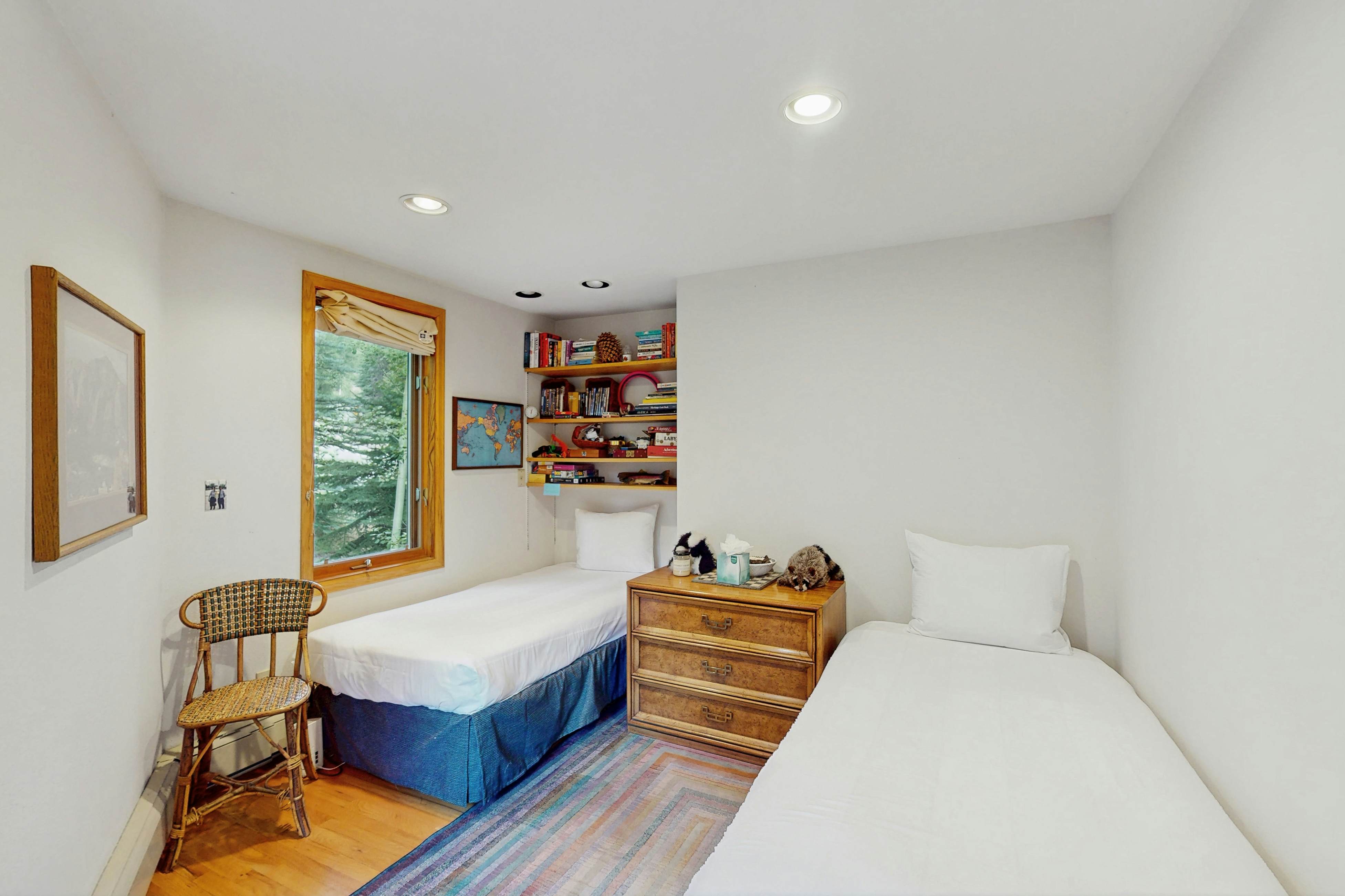 Snowbound and Streamside