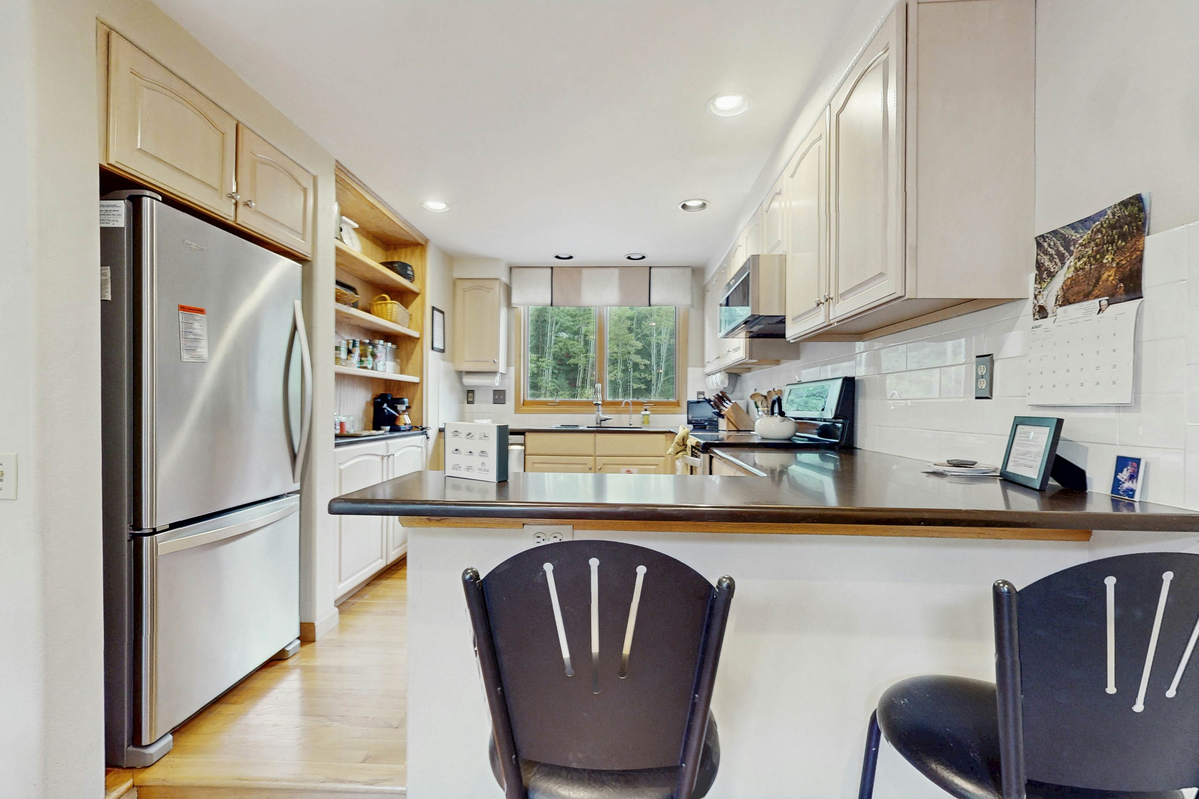 Snowbound and Streamside