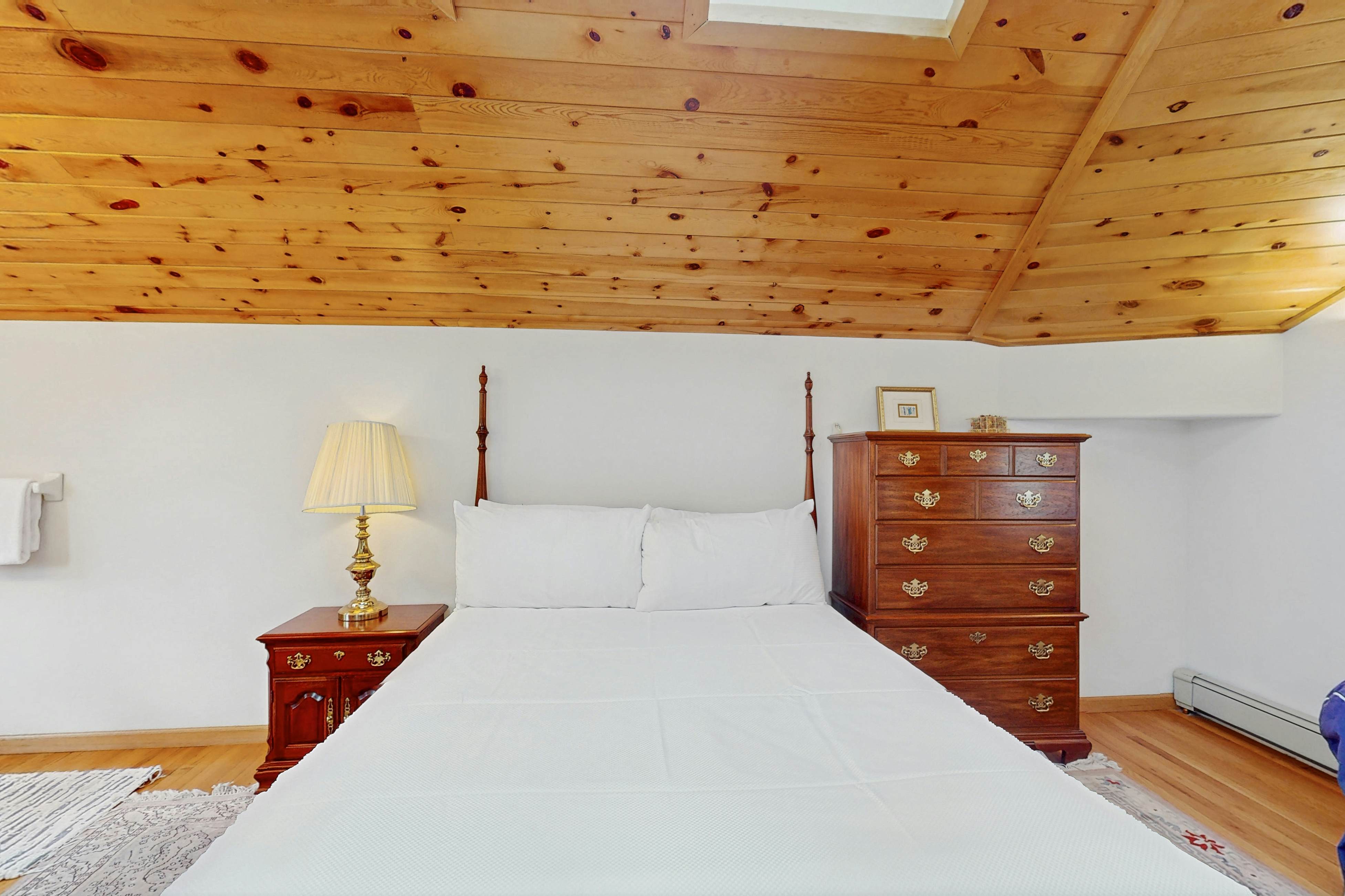 Snowbound and Streamside