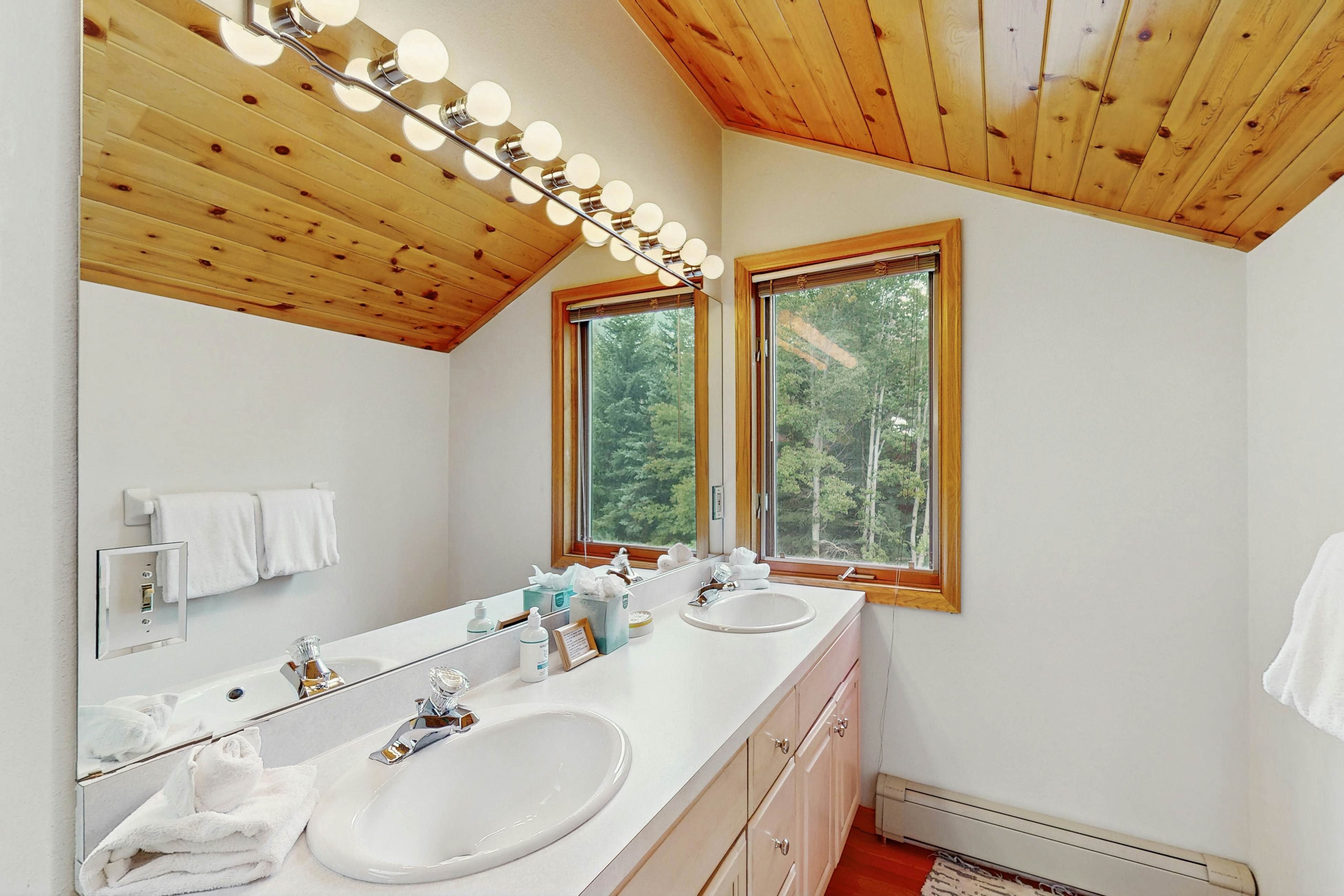 Snowbound and Streamside