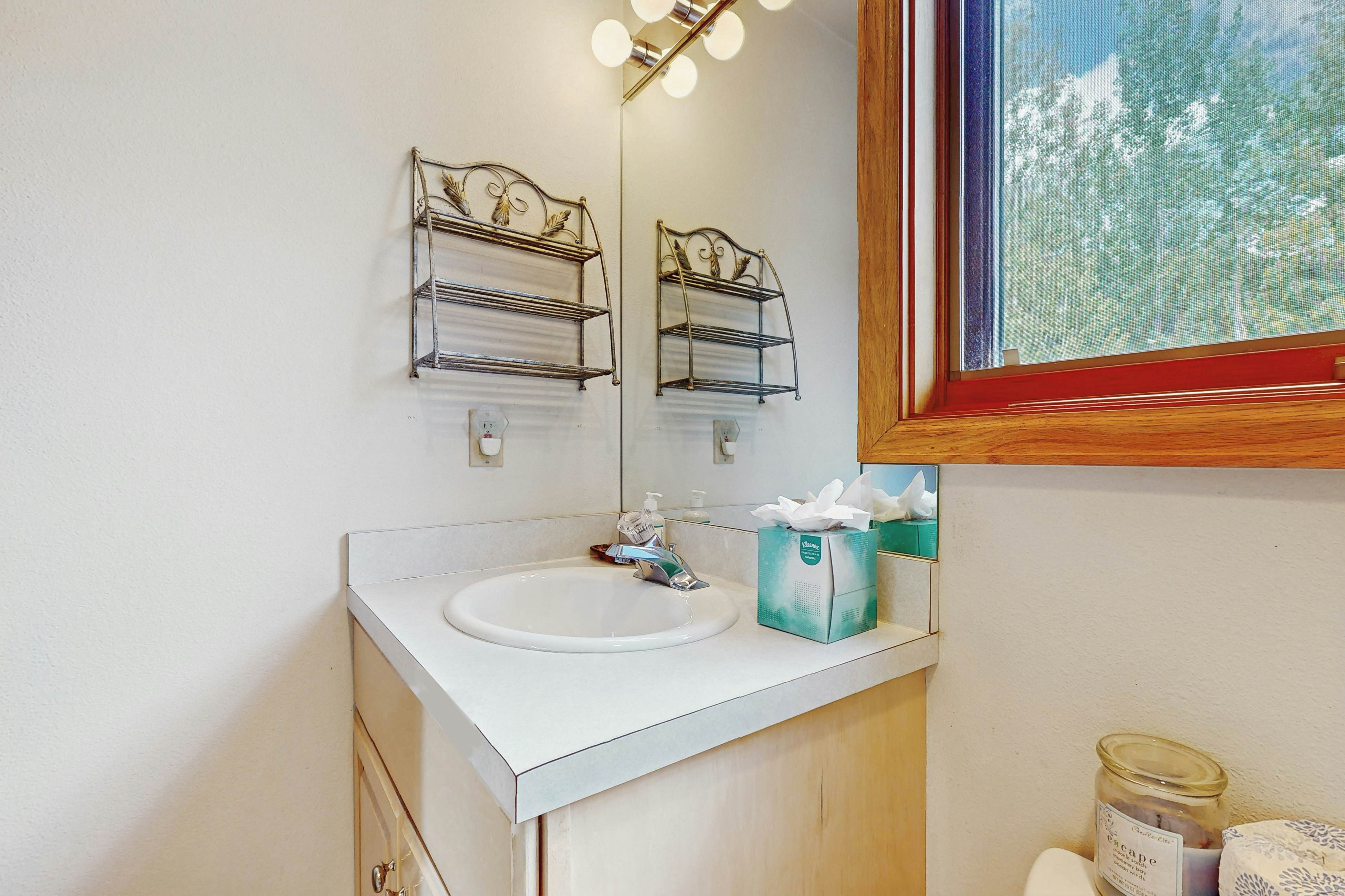 Snowbound and Streamside