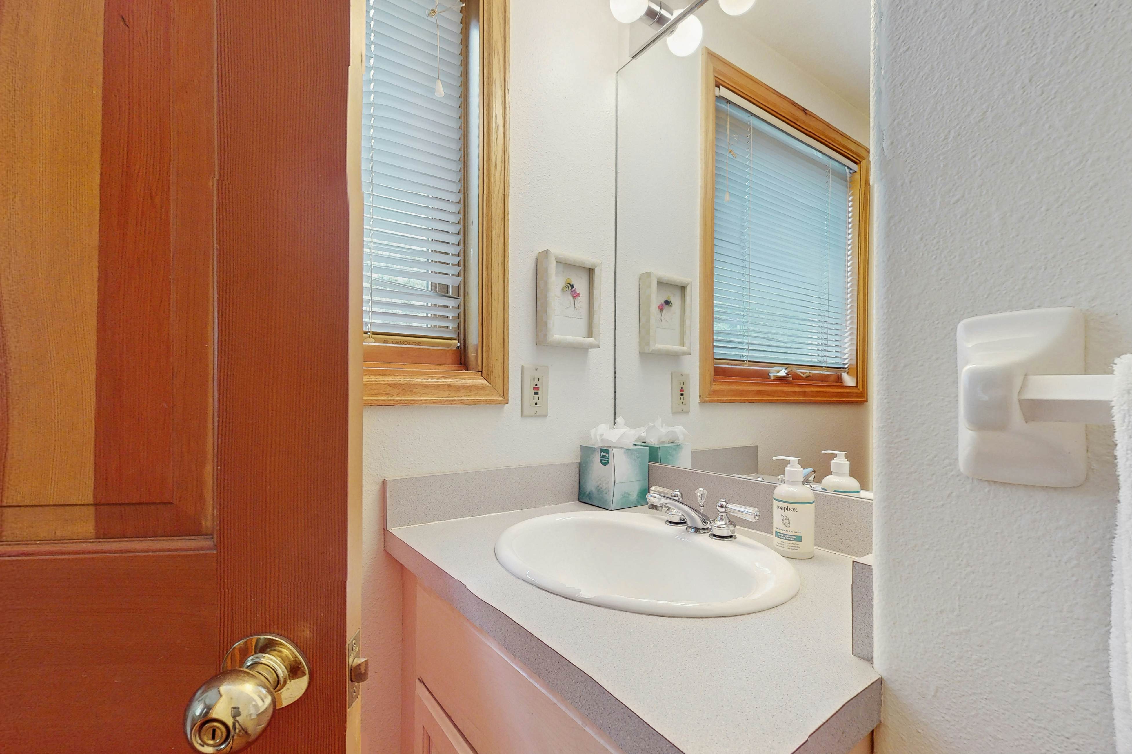 Snowbound and Streamside