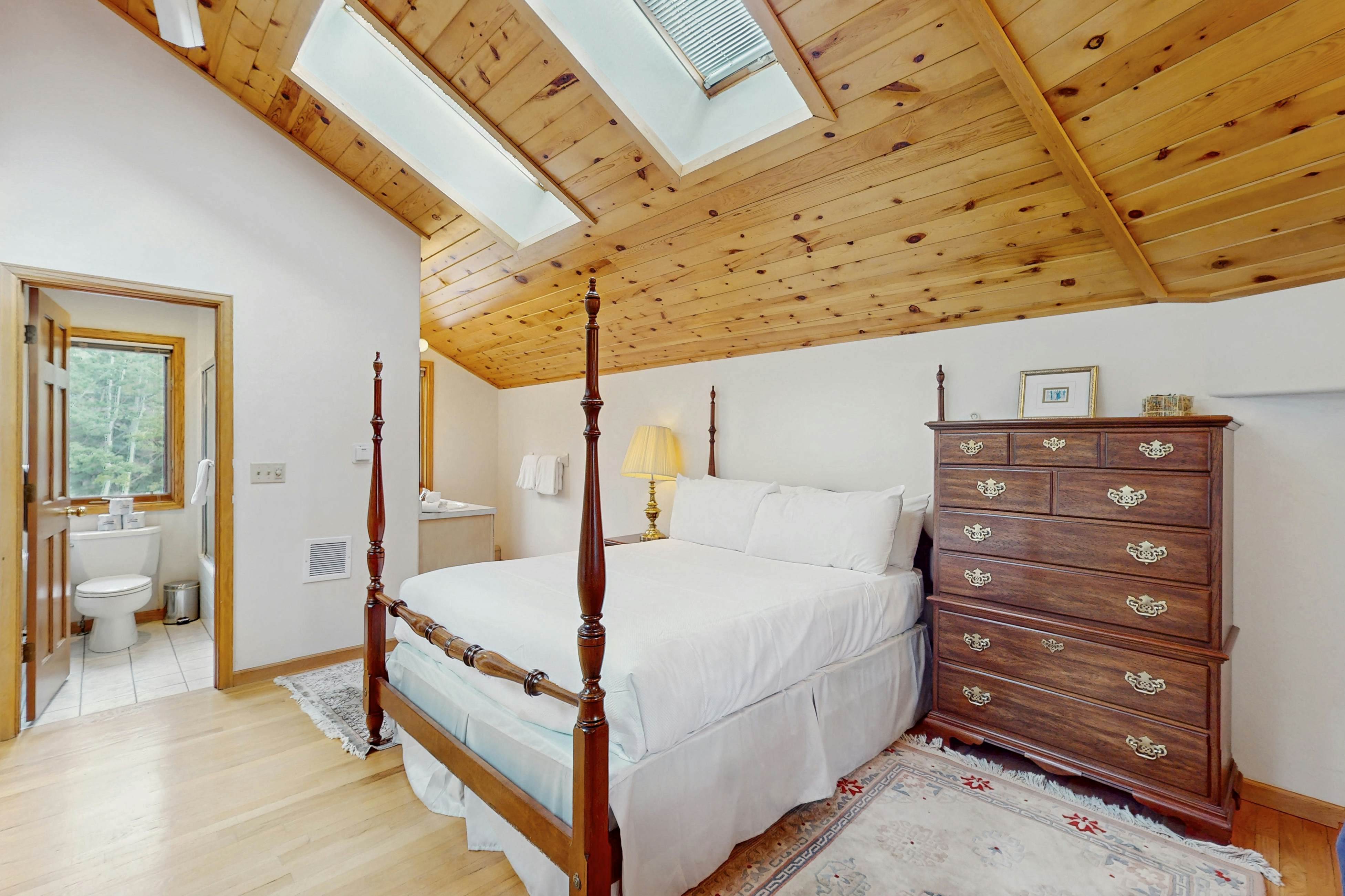 Snowbound and Streamside