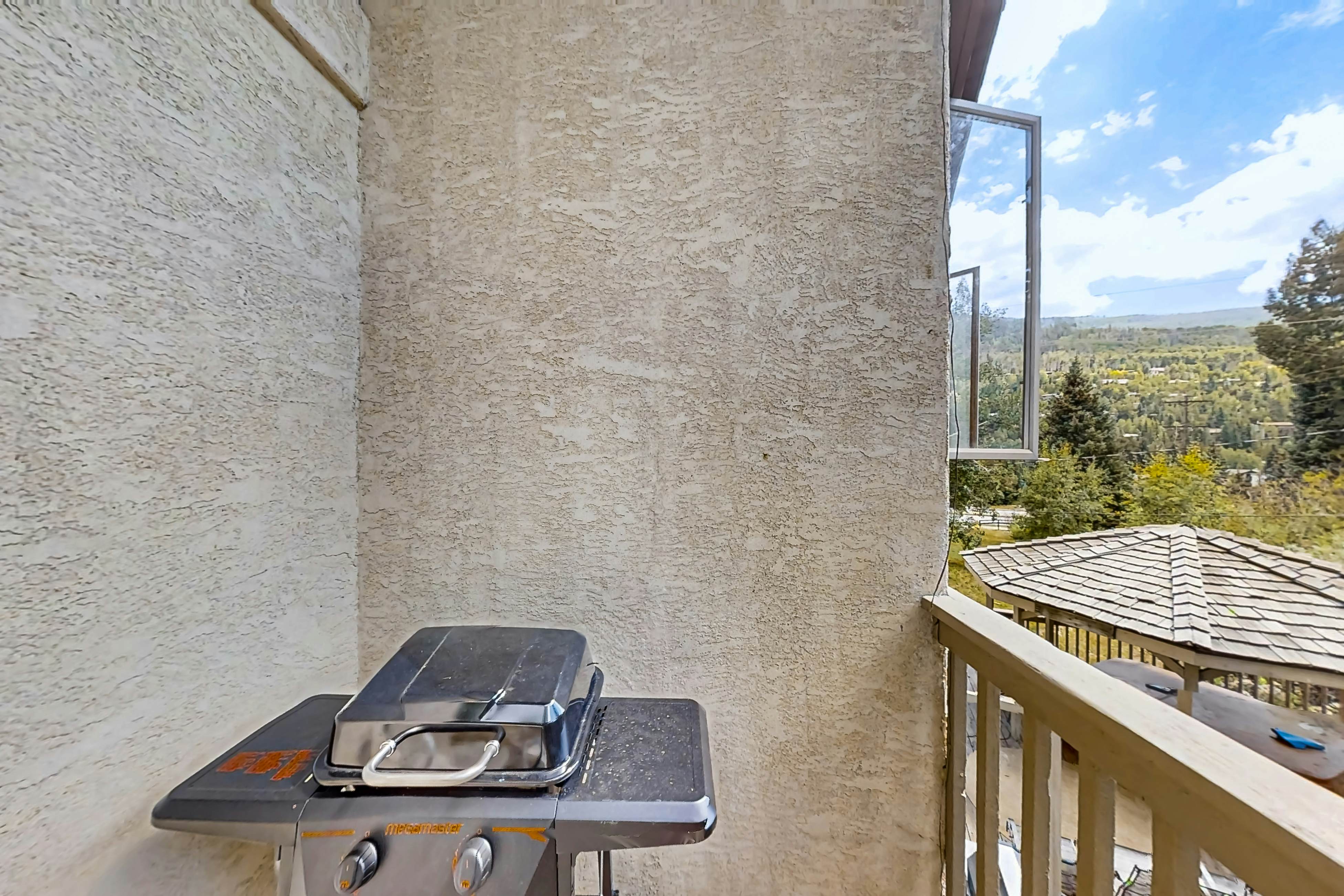 Snowbound and Streamside