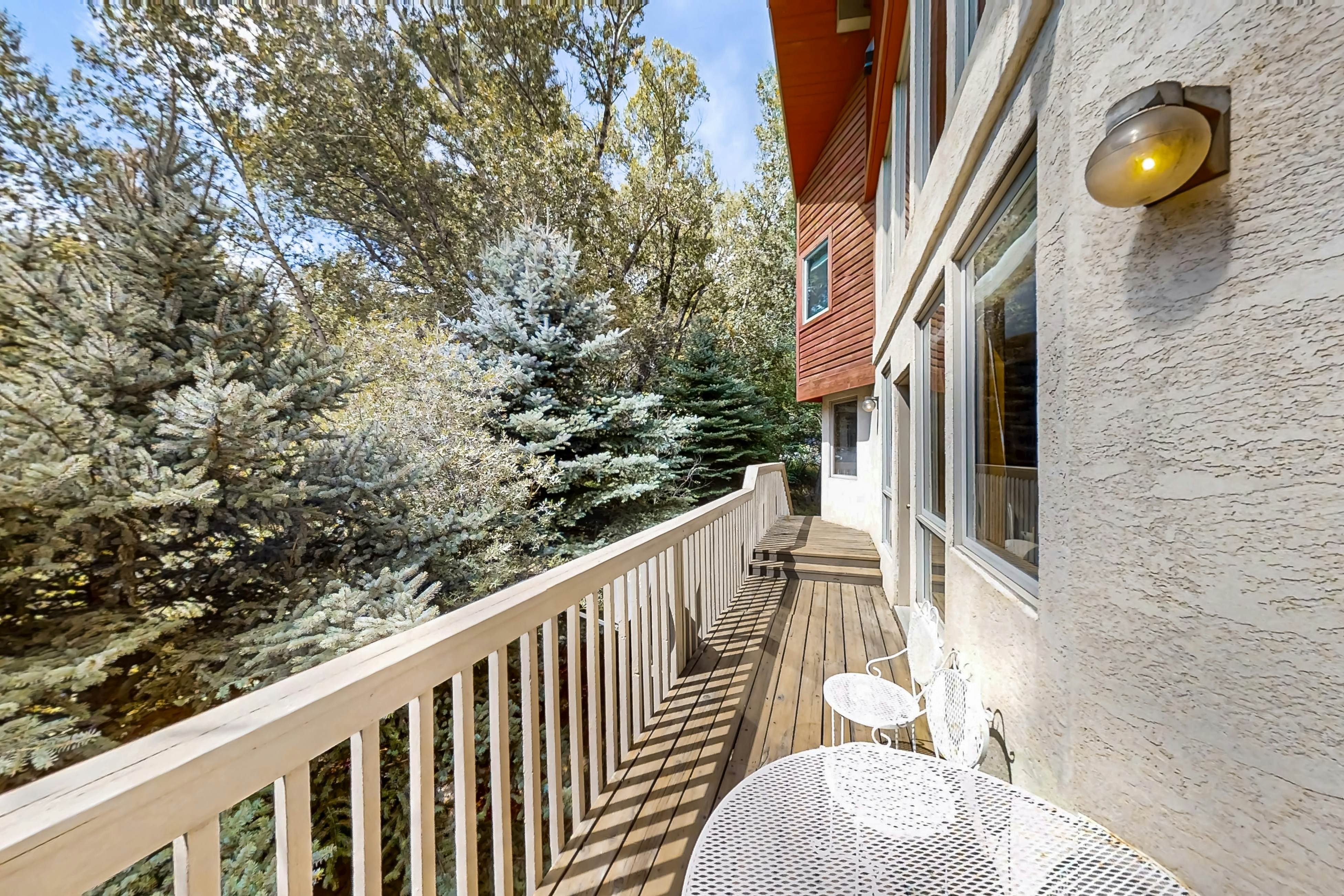 Snowbound and Streamside