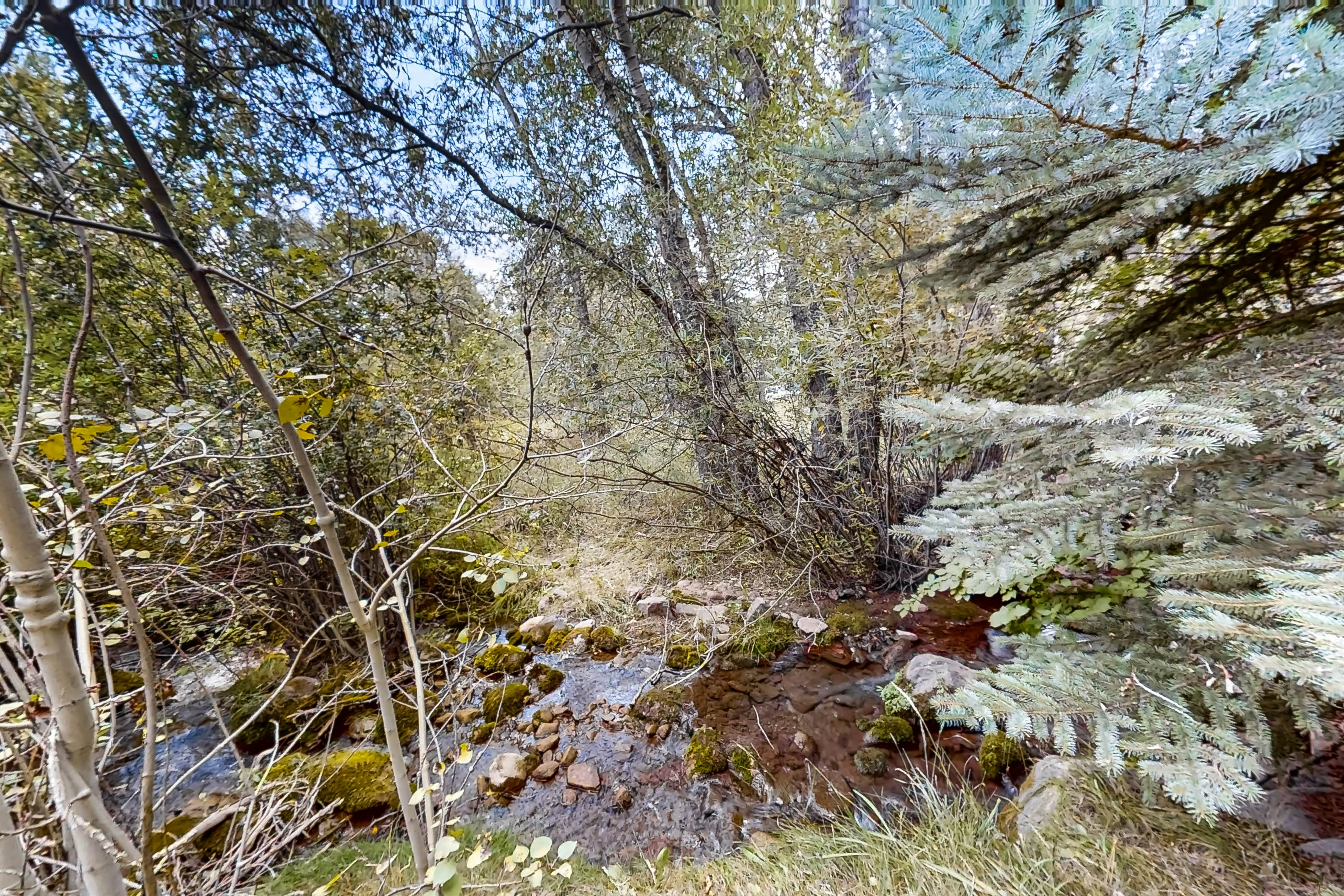 Snowbound and Streamside