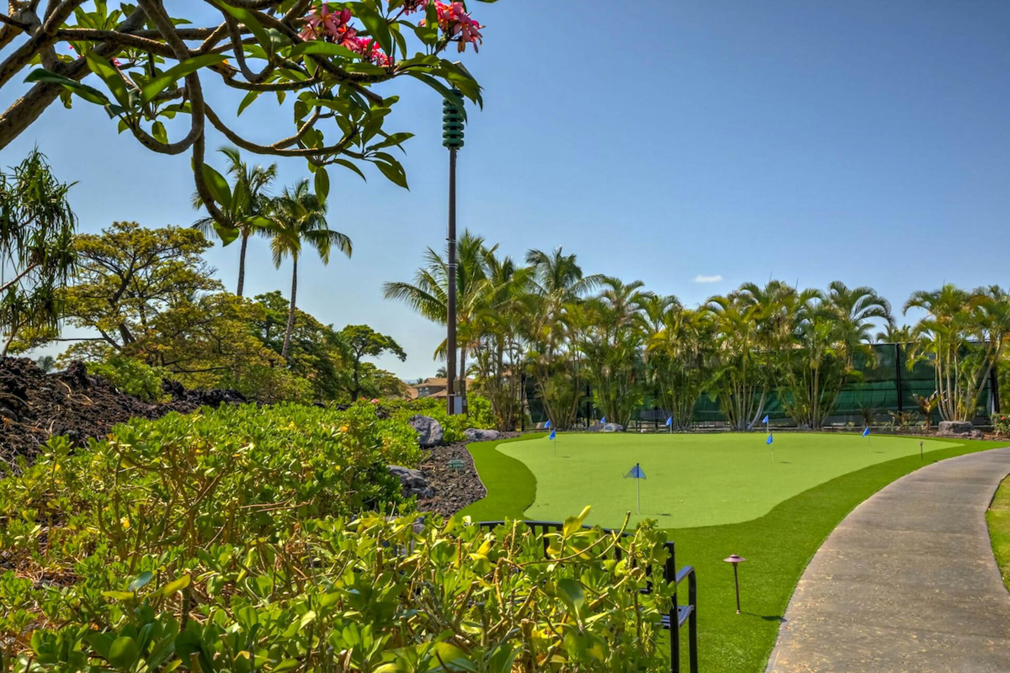 Hali’i Kai 11A on the Big Island