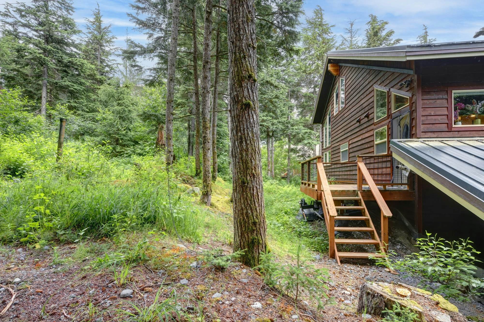 The Aurora at Timberline