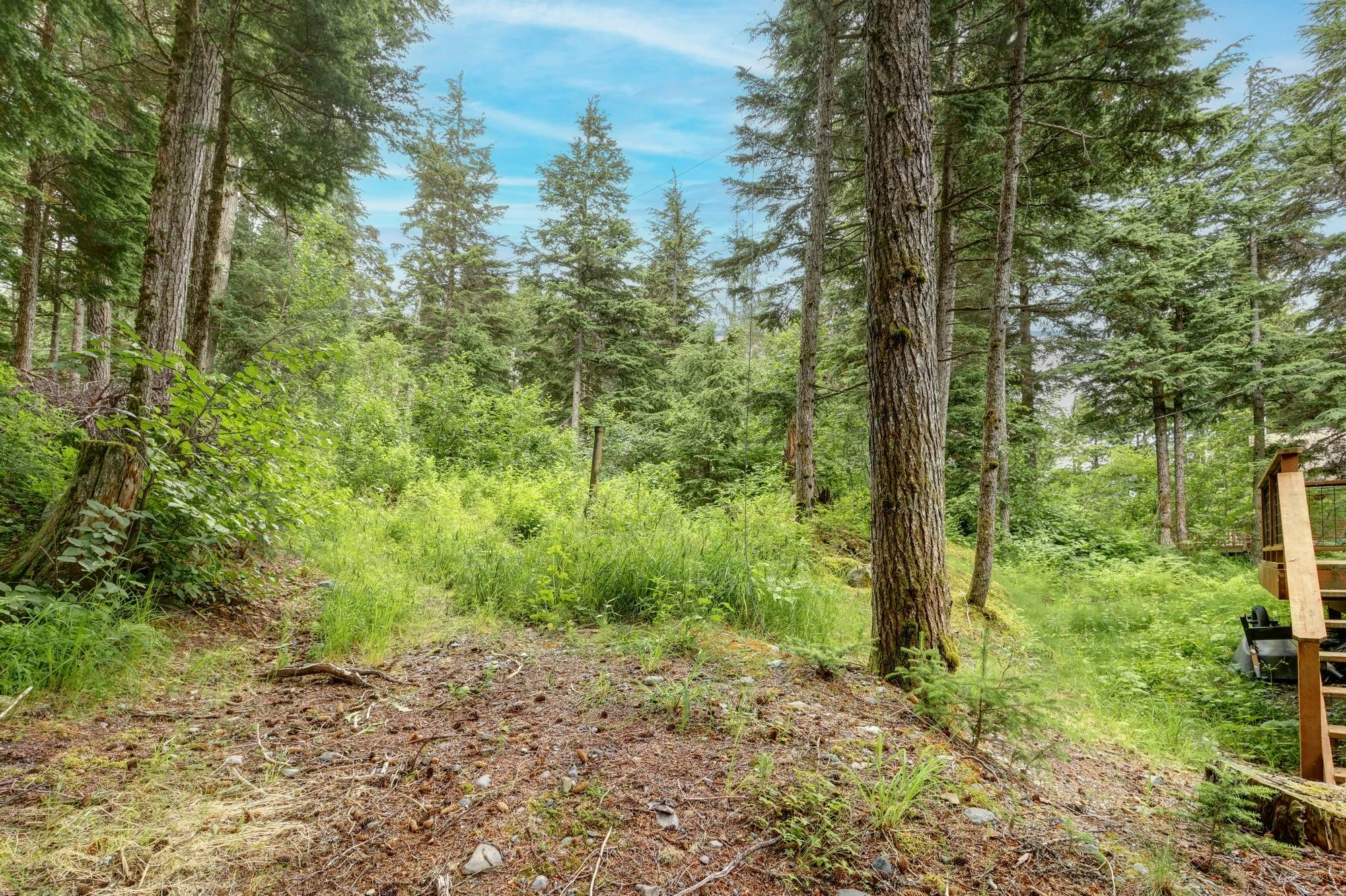 The Aurora at Timberline