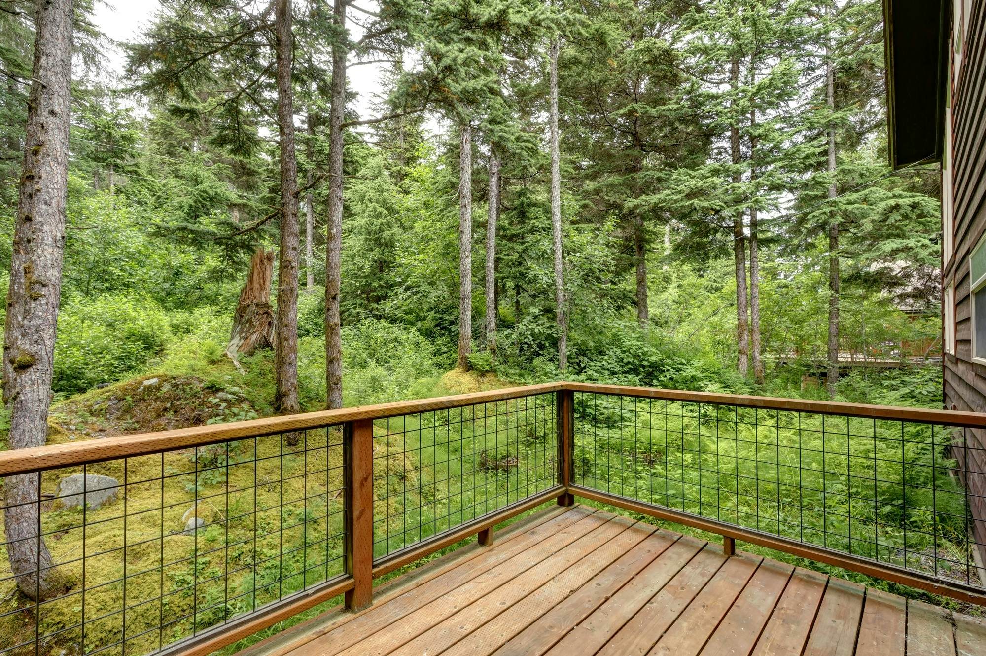 The Aurora at Timberline