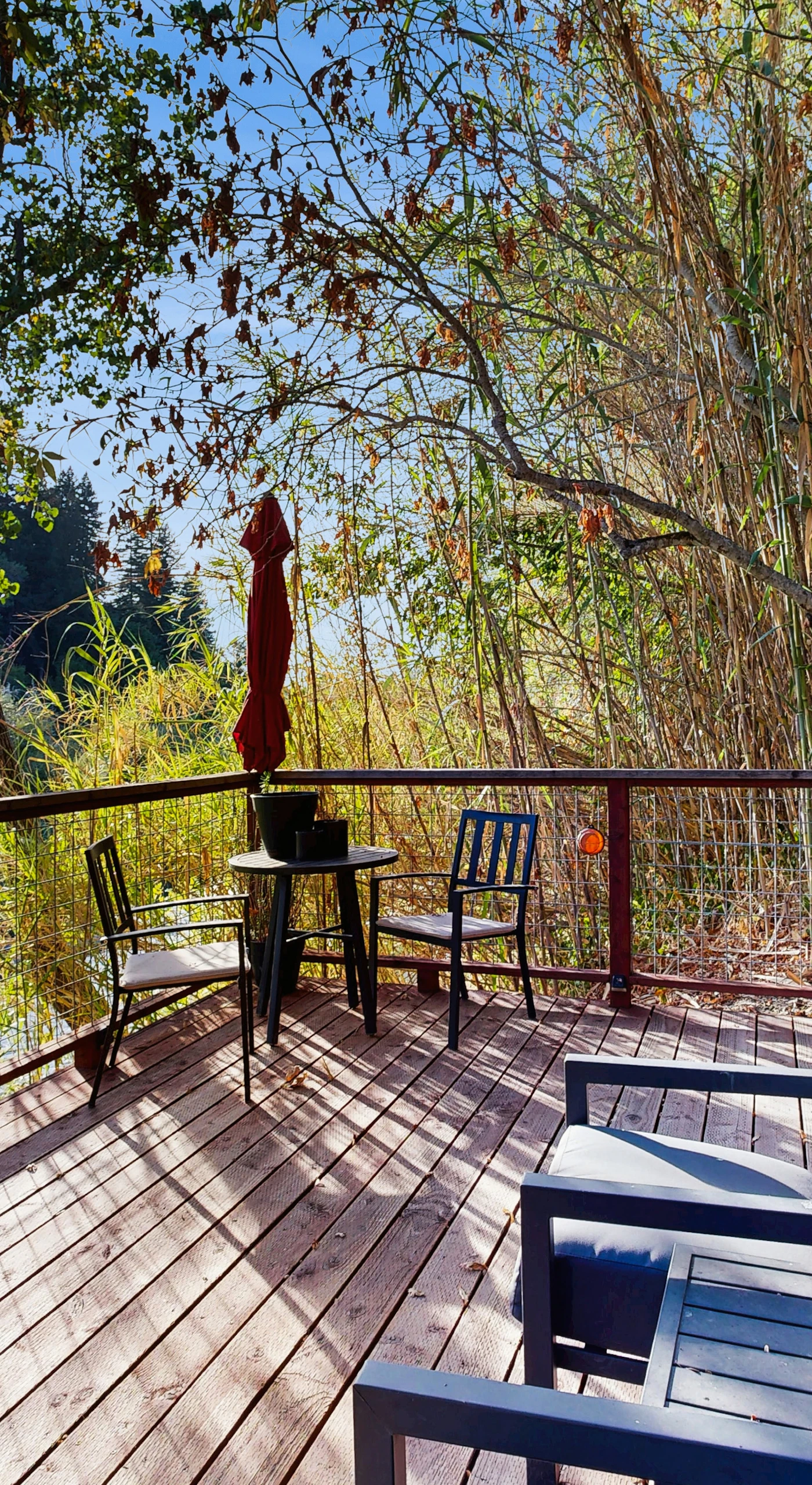 Settle into your riverside deck with a glass of Dry Creek Zinfandel and watch the Russian River glide by below.