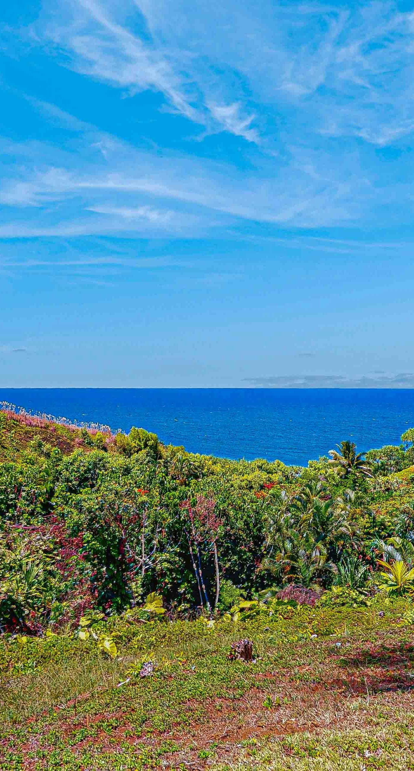 Sunrise Hale at the Cliffs