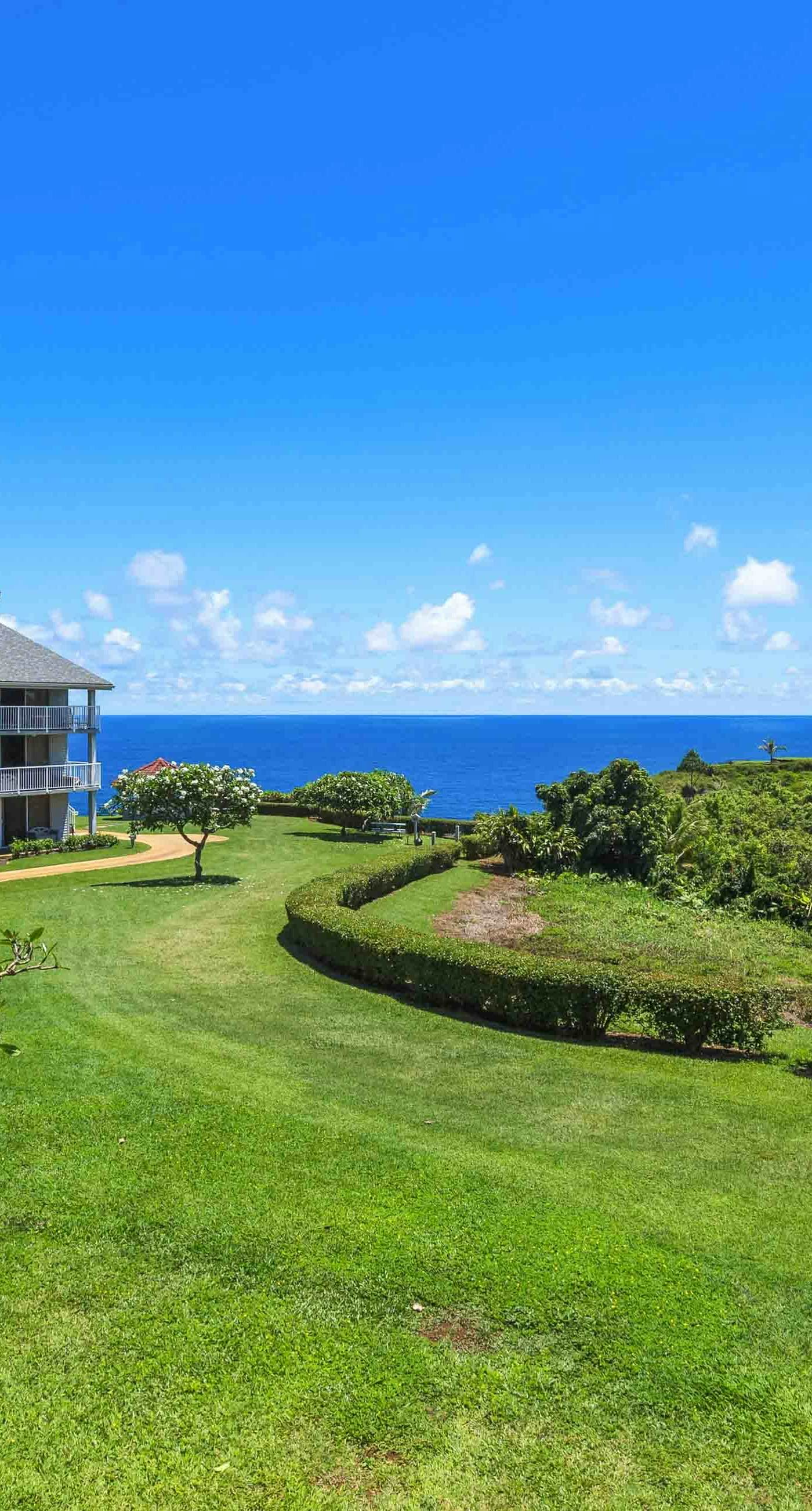 Sunrise Hale at the Cliffs