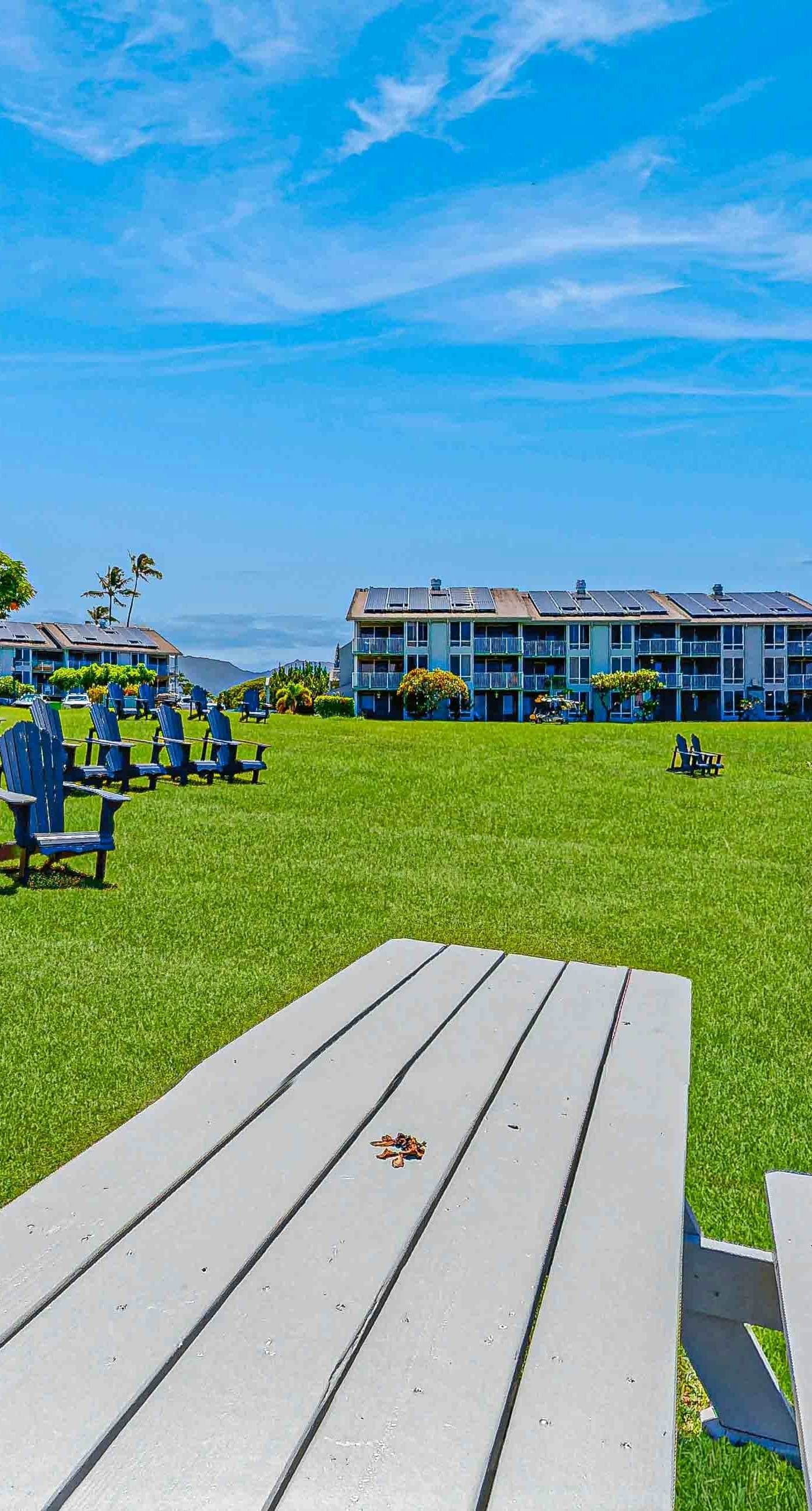 Sunrise Hale at the Cliffs