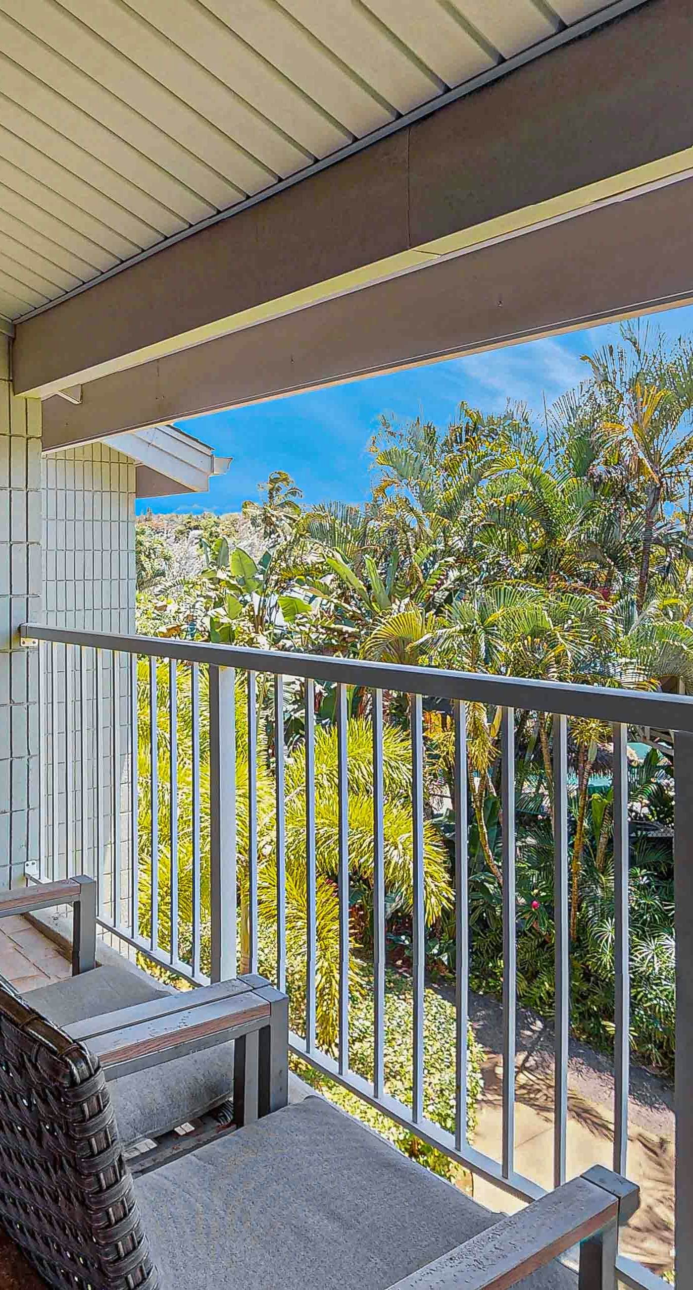 Sunrise Hale at the Cliffs