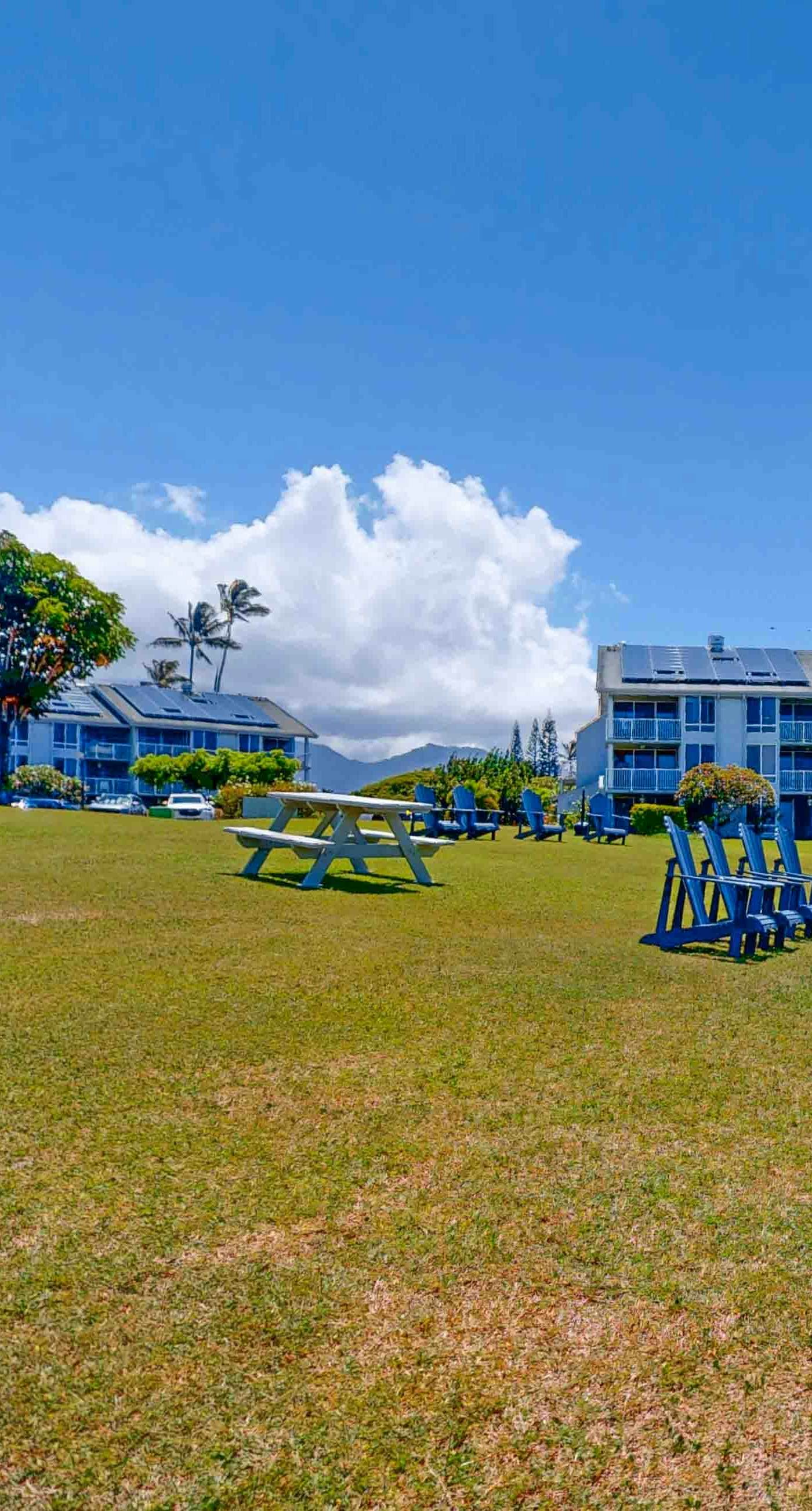 Sunrise Hale at the Cliffs