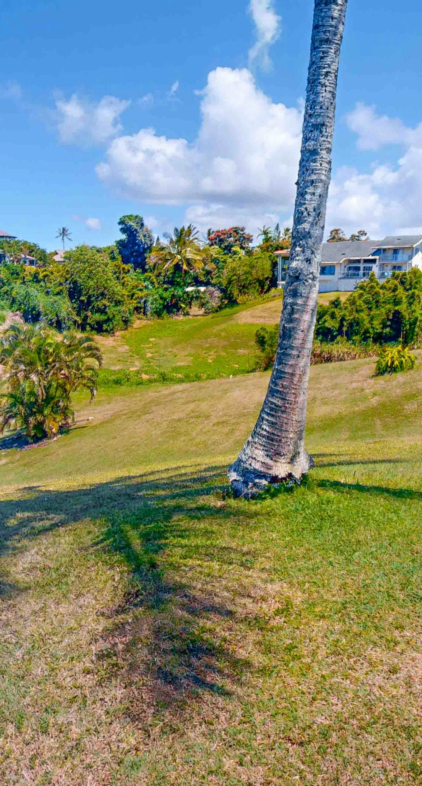 Sunrise Hale at the Cliffs