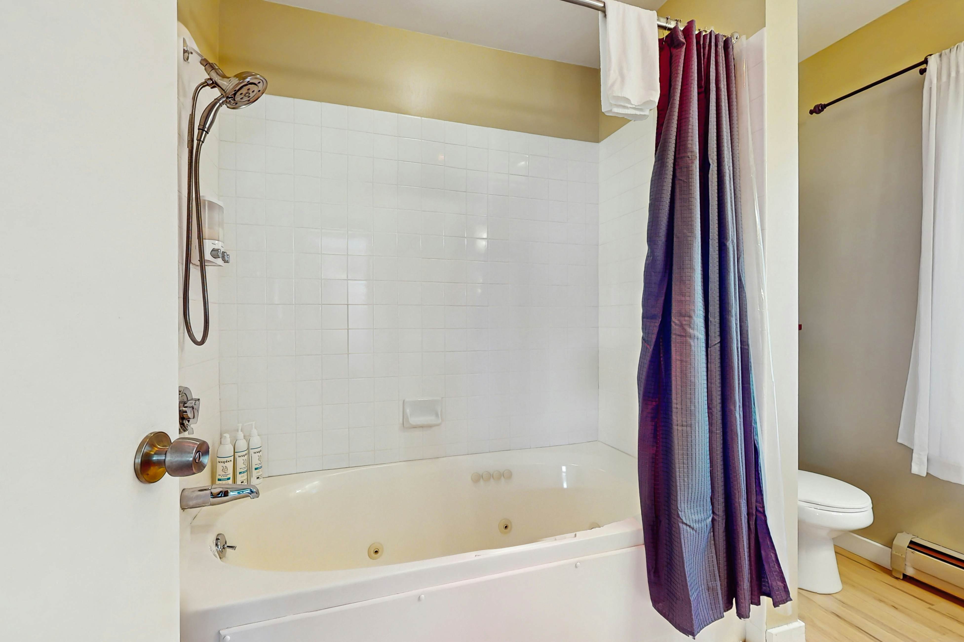 17A Mountain Village #241