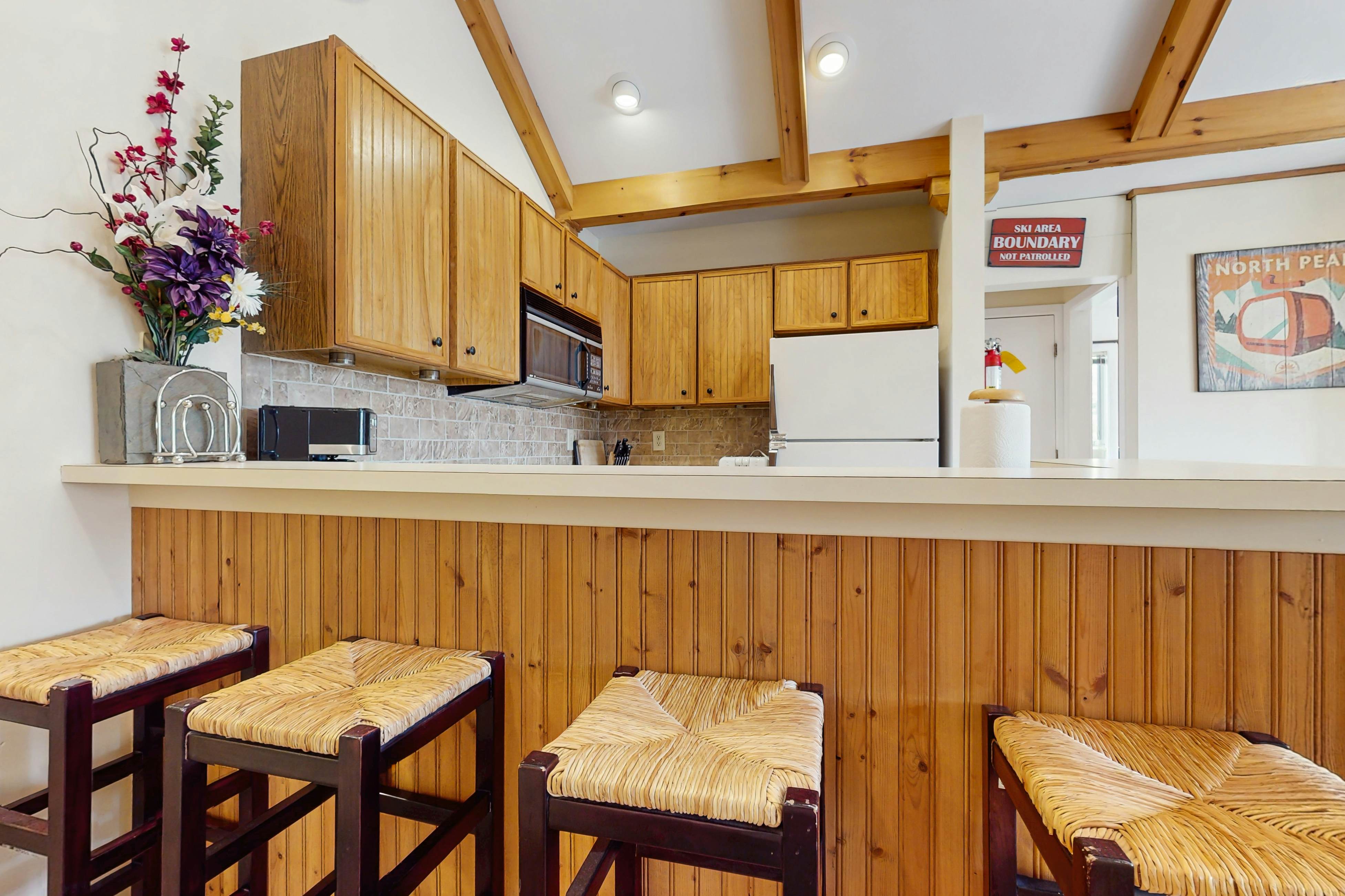 17A Mountain Village #241