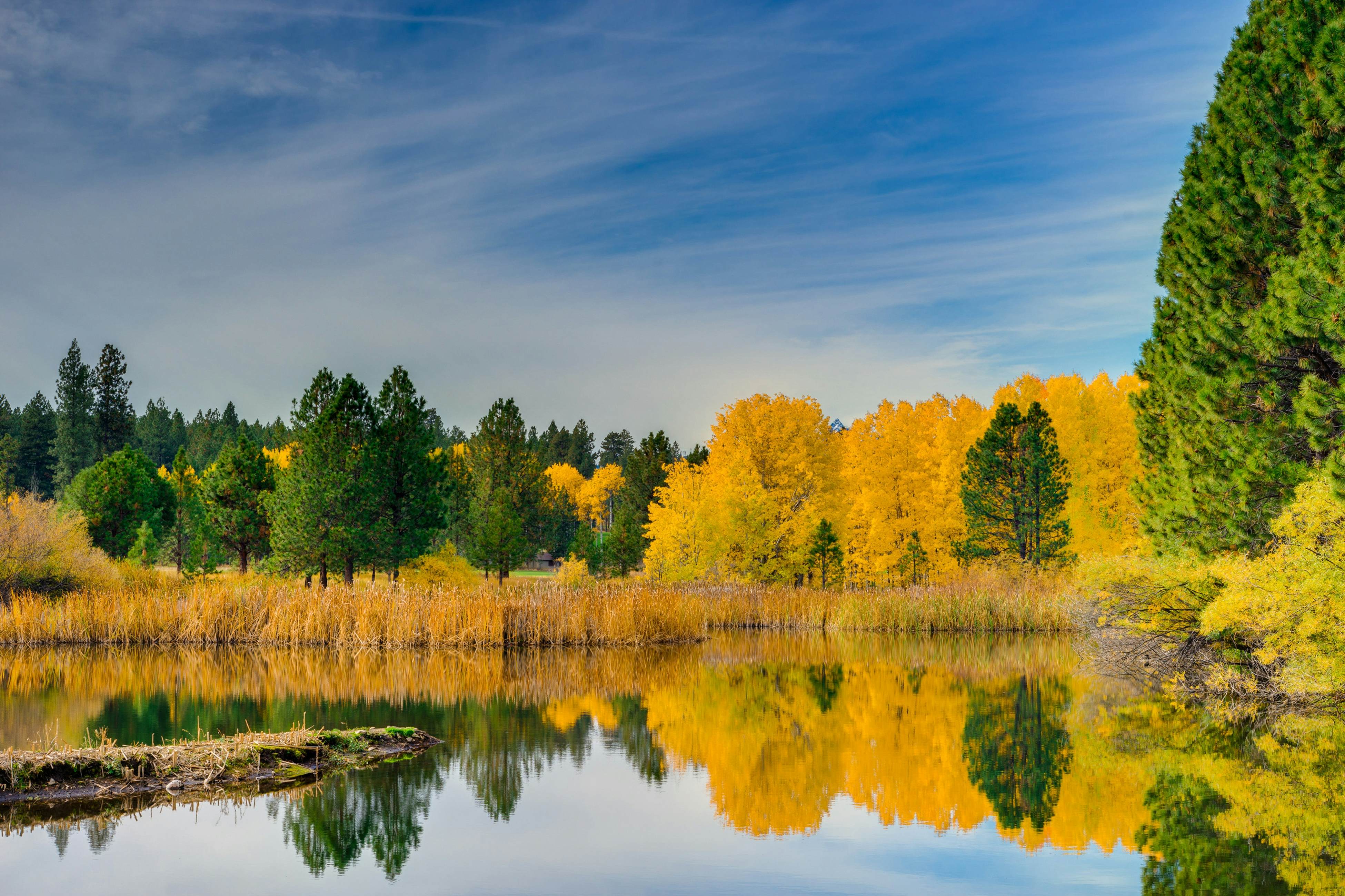 Big Meadow's 11th Fairway