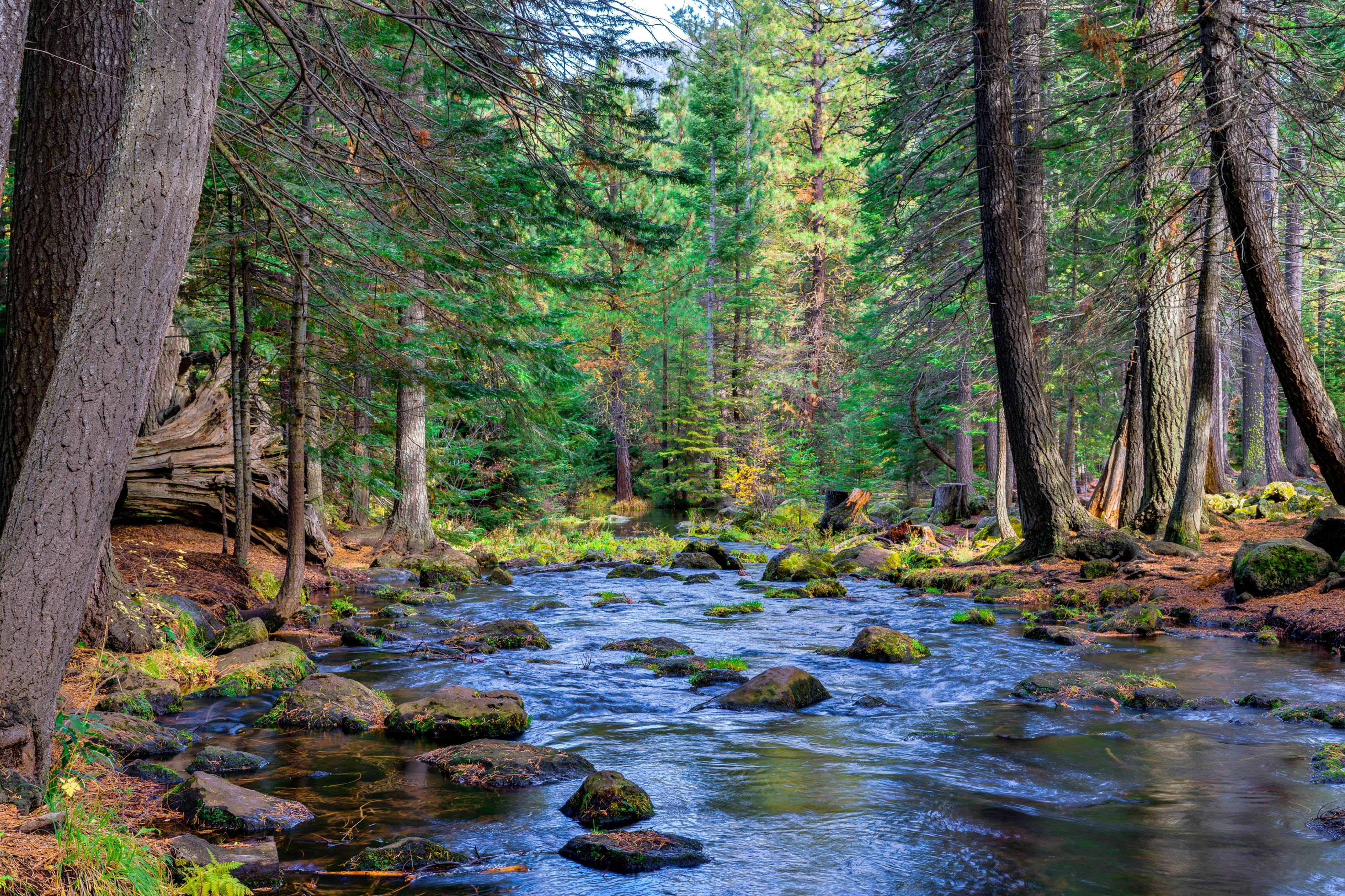 Big Meadow's 11th Fairway