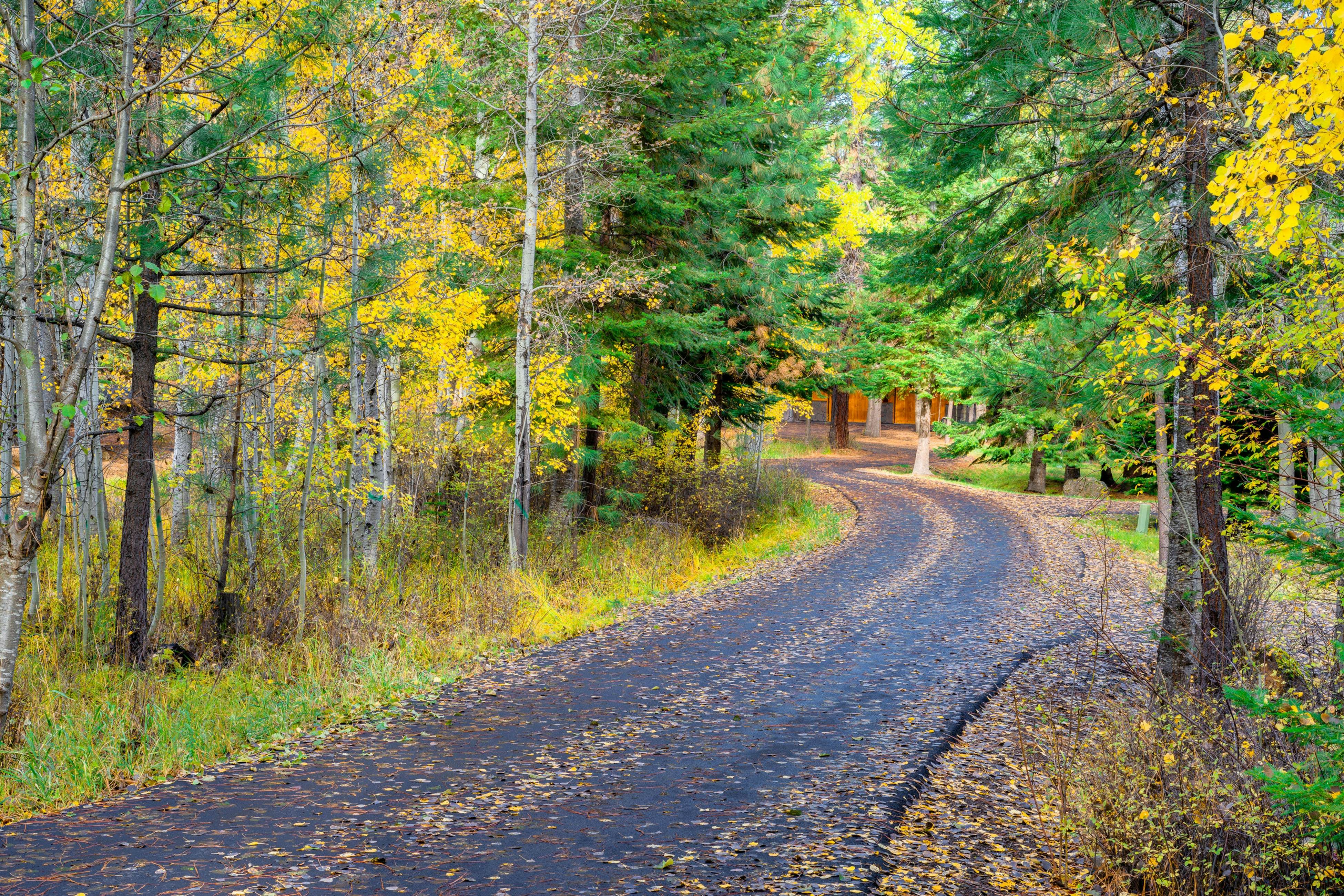 Big Meadow's 11th Fairway