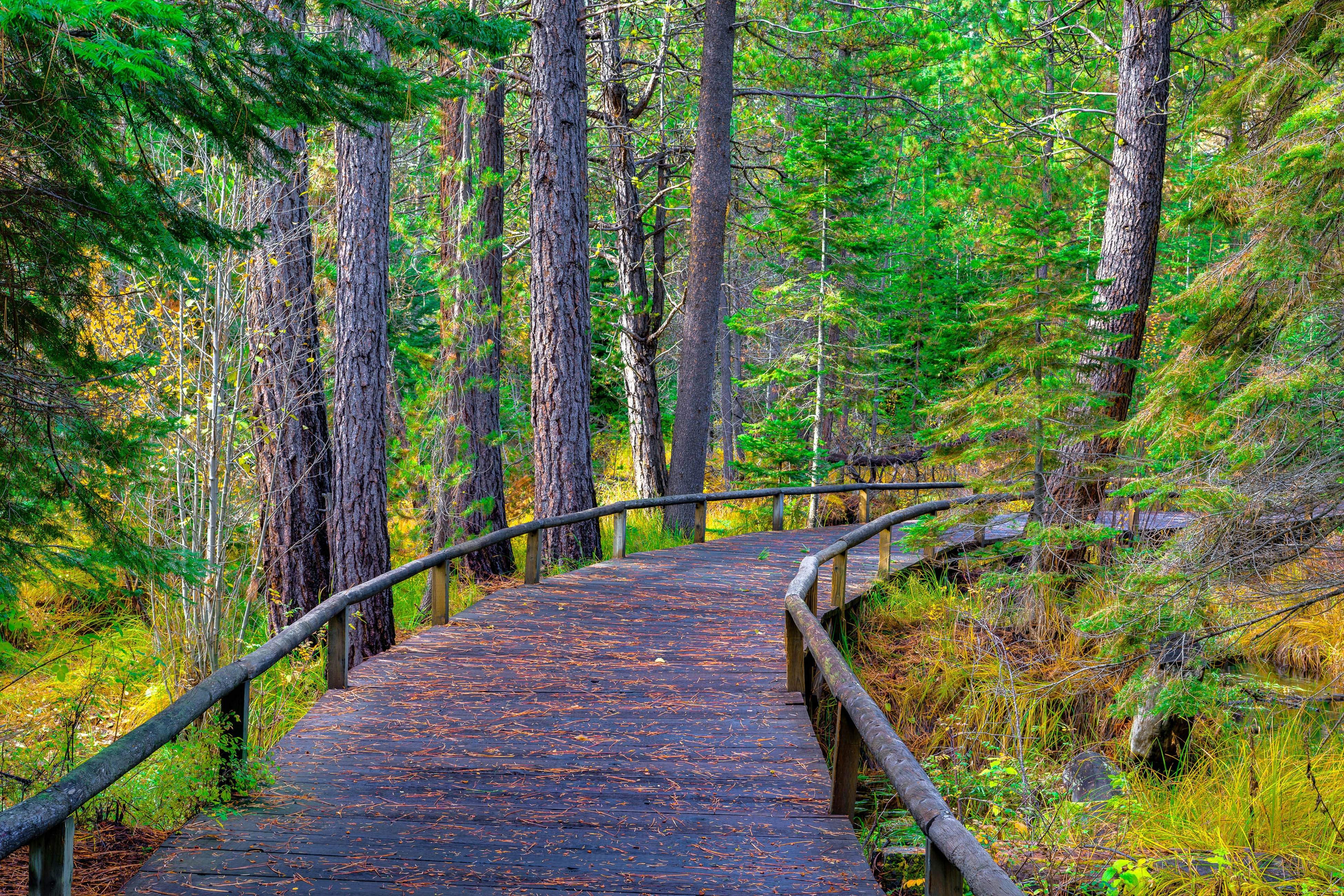 Big Meadow's 11th Fairway