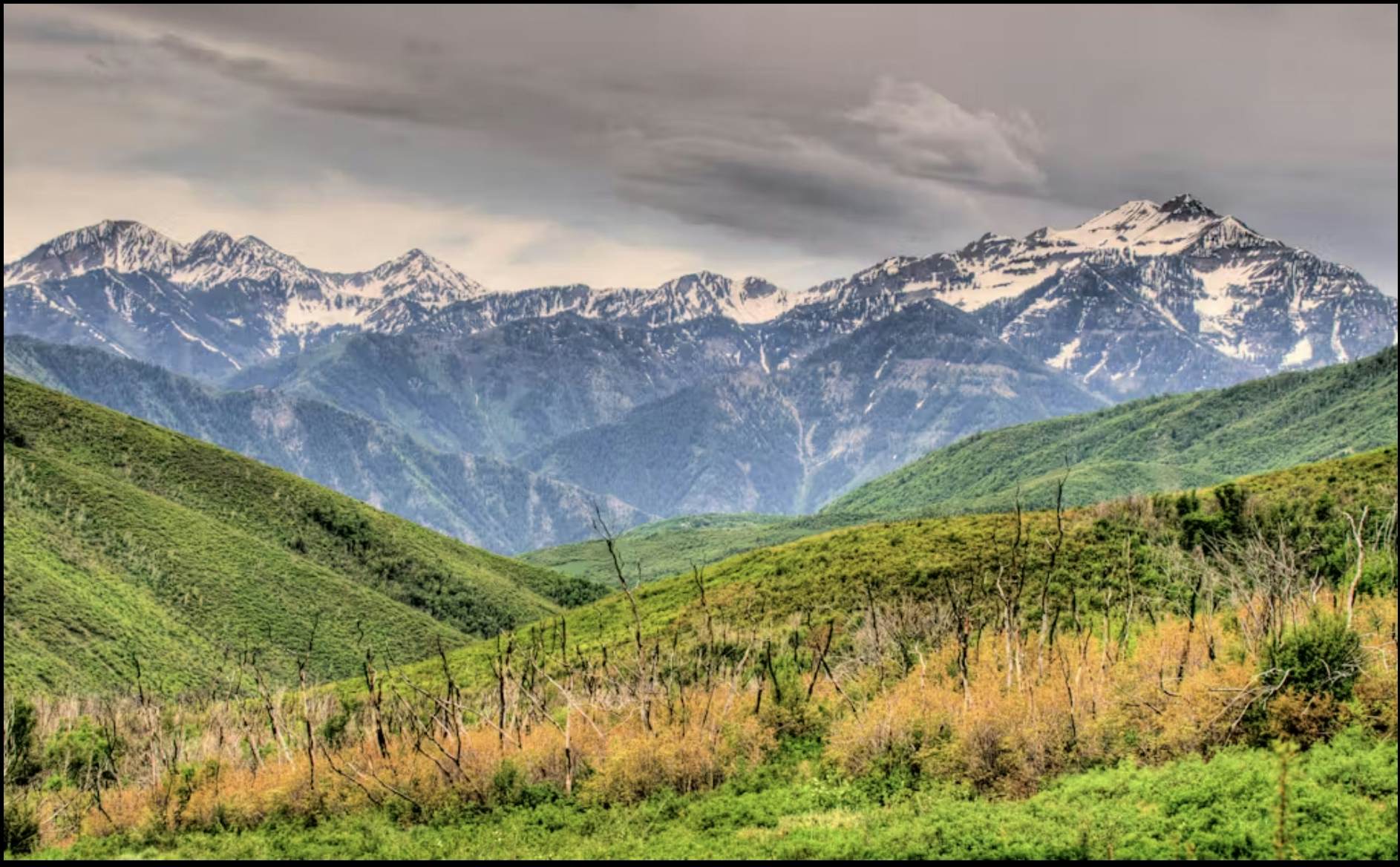 Elegant Escape at Powder Pointe 201B