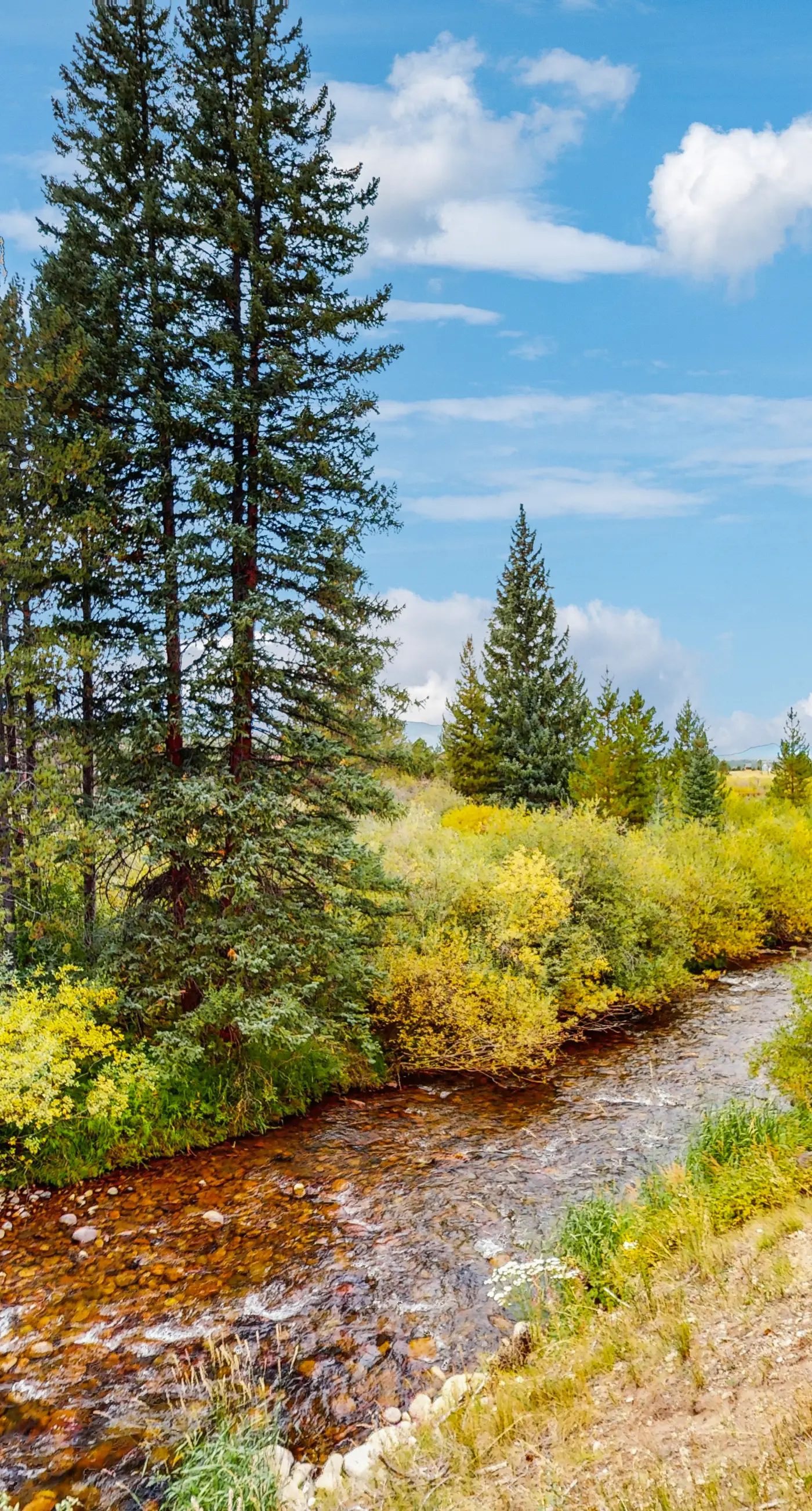 Hi Country Haus 14-5