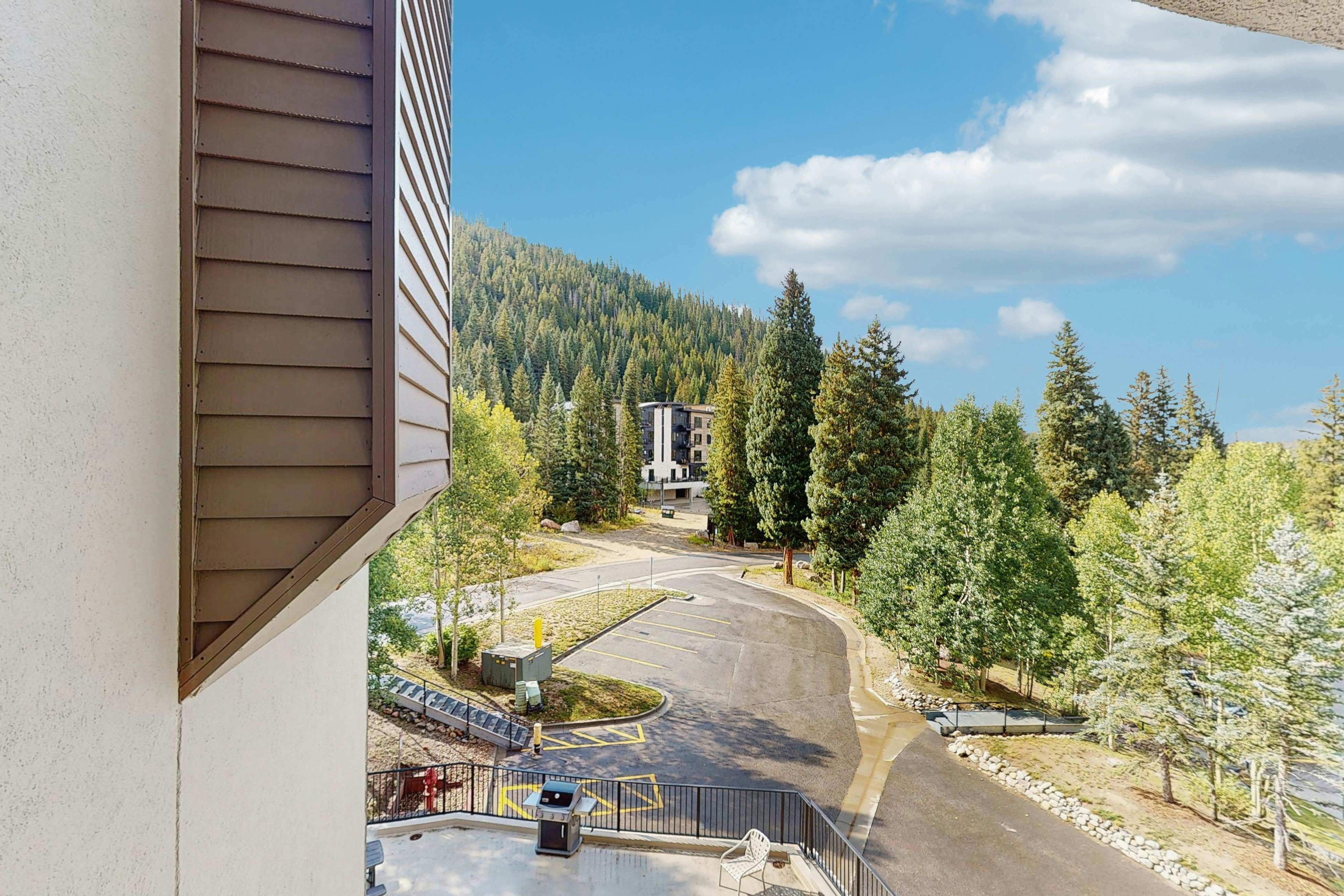 Iron Horse Resort 3063