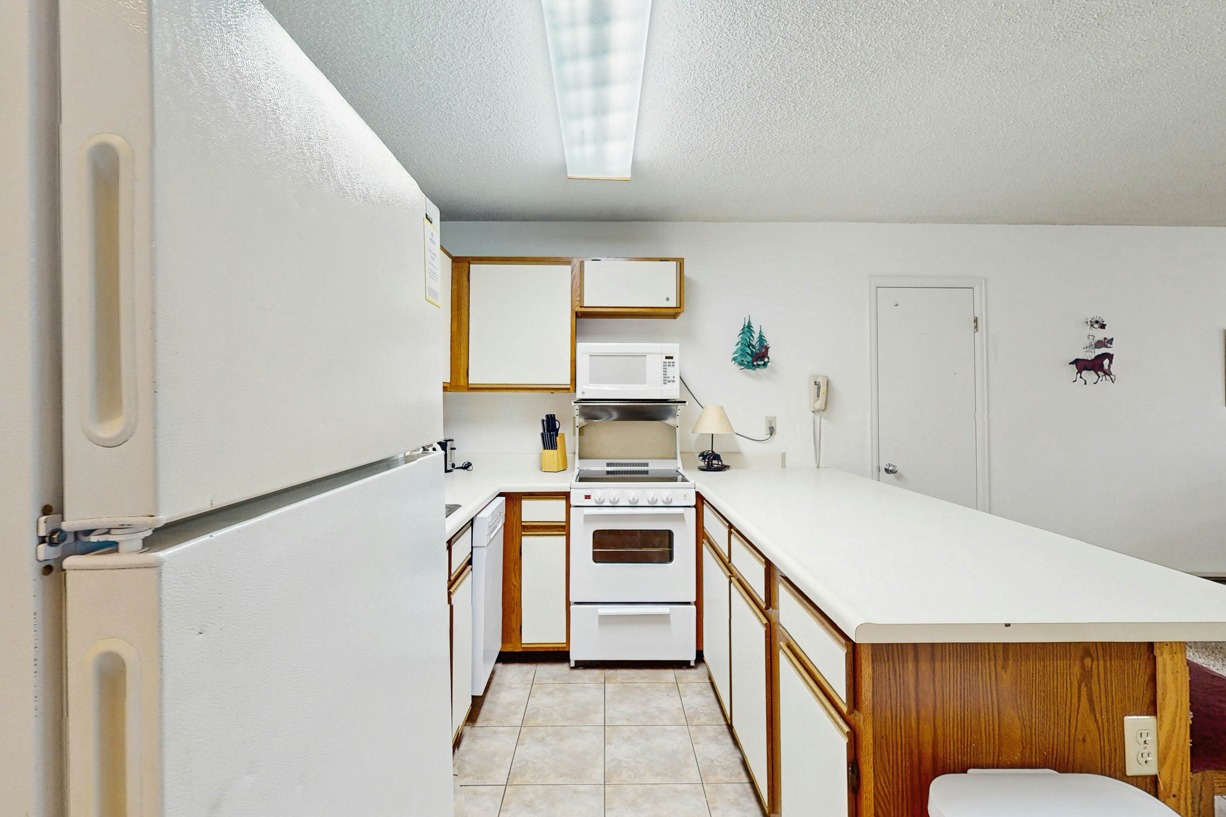 Snowblaze Condominiums E103