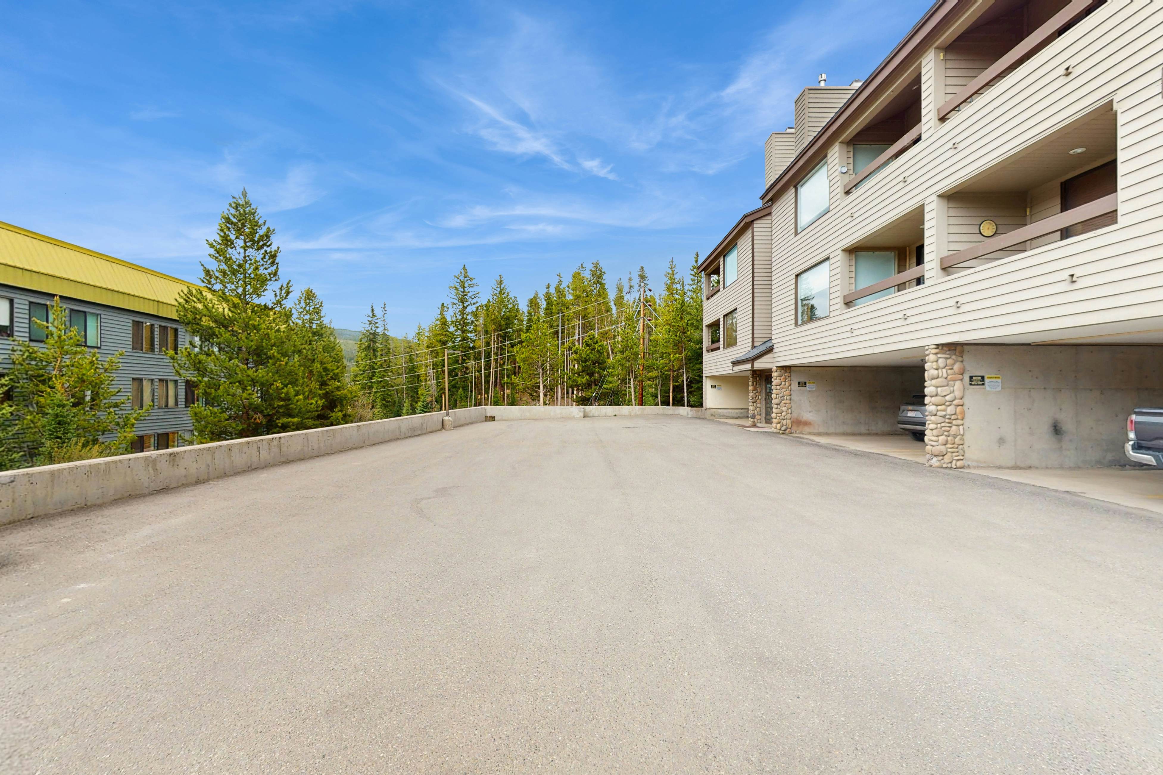 Snowblaze Condominiums E103