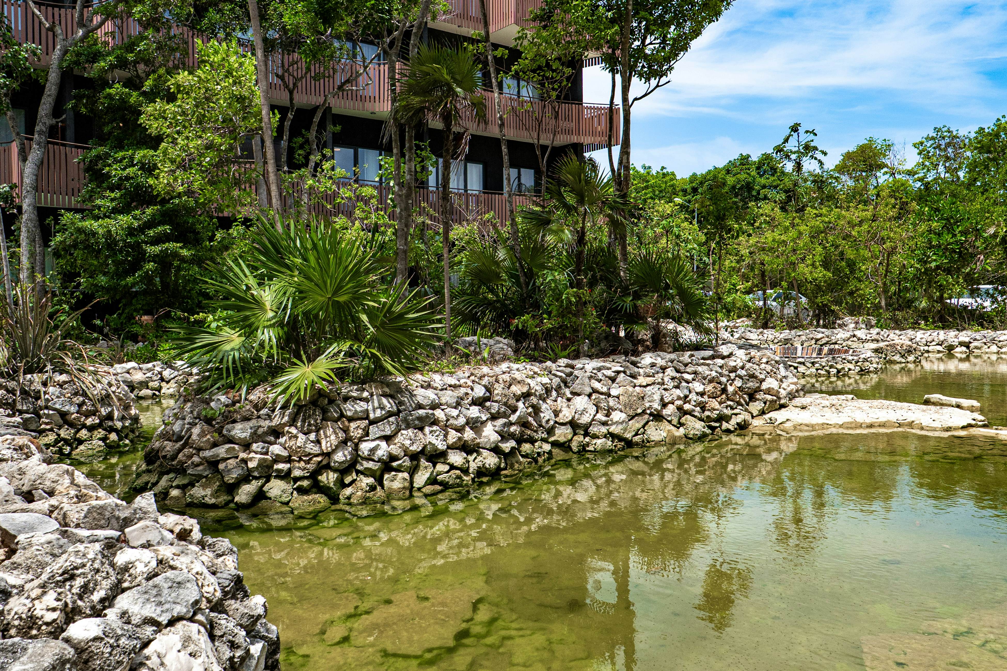 Refugio del sol C305