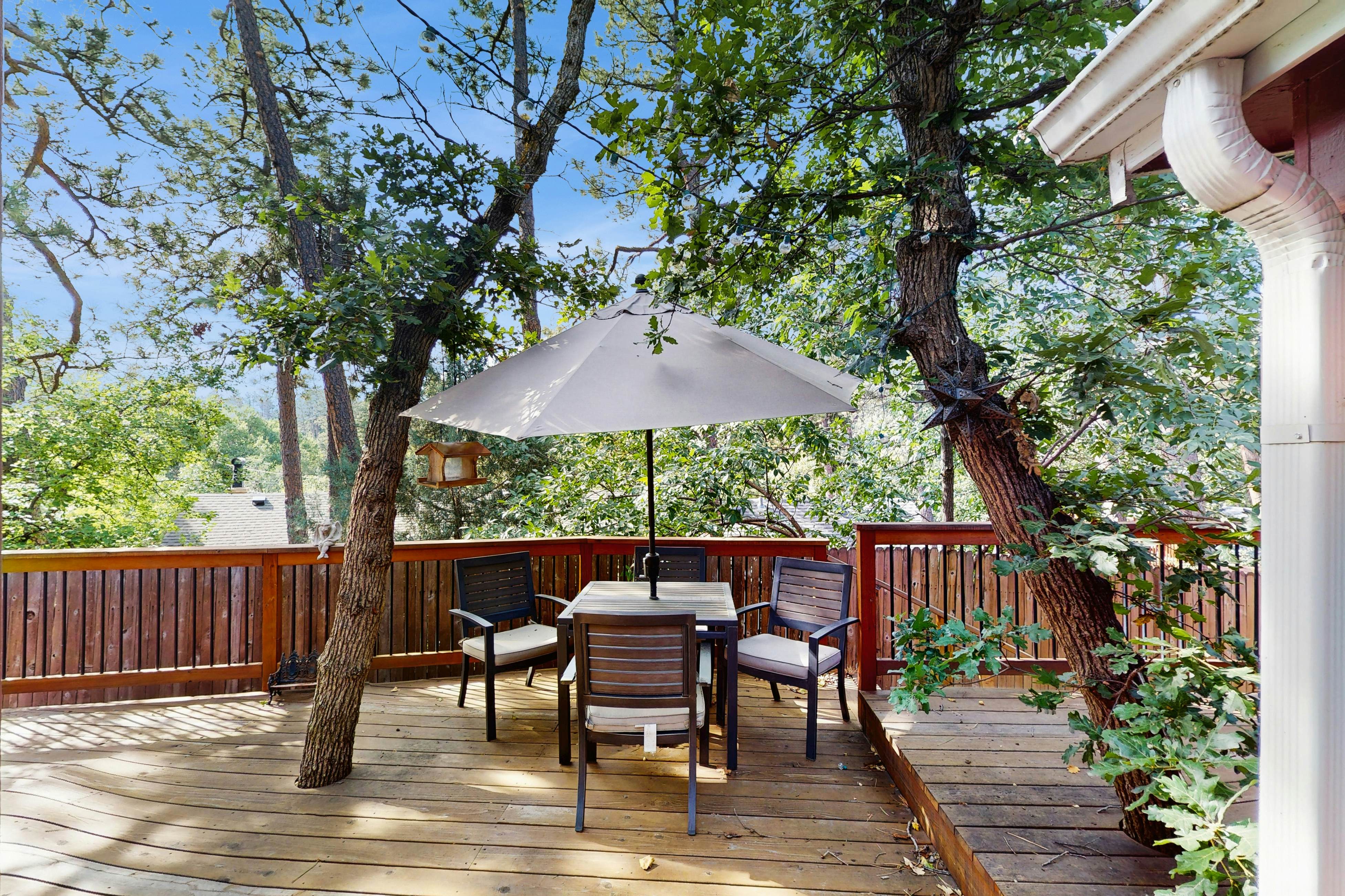 Little Lazy Bear Retreat