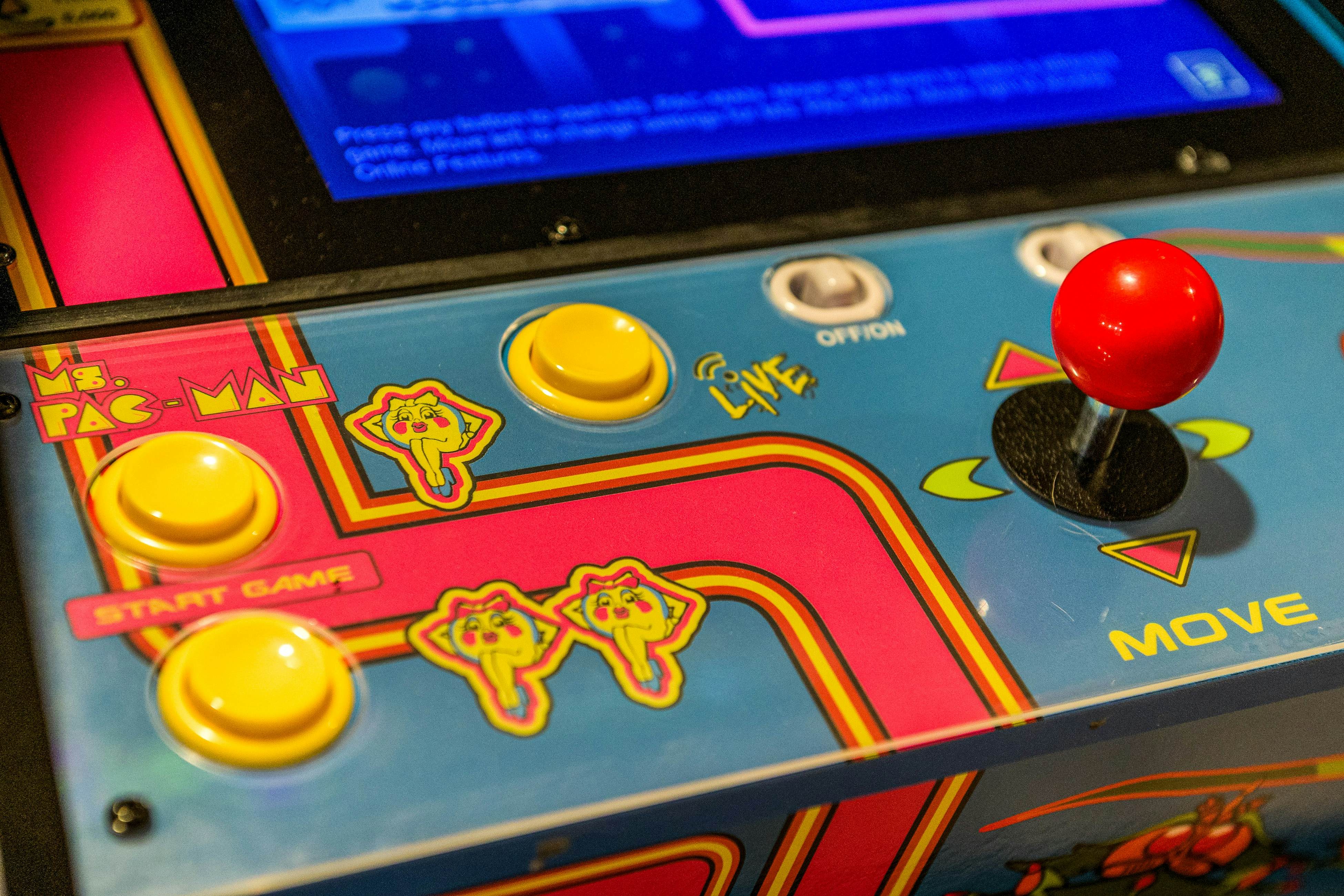 Black Bear Retreat at the Lake