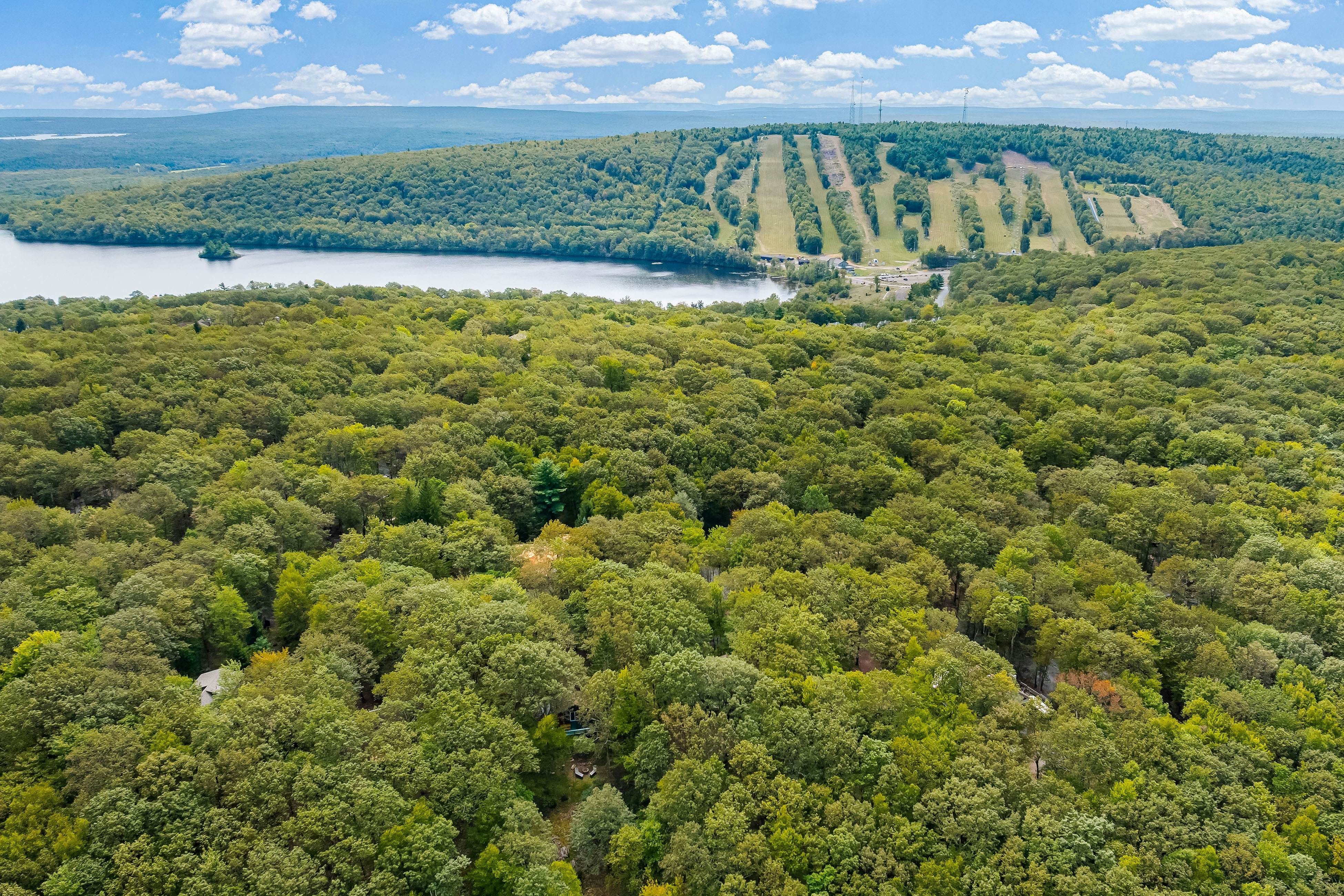 Black Bear Retreat at the Lake