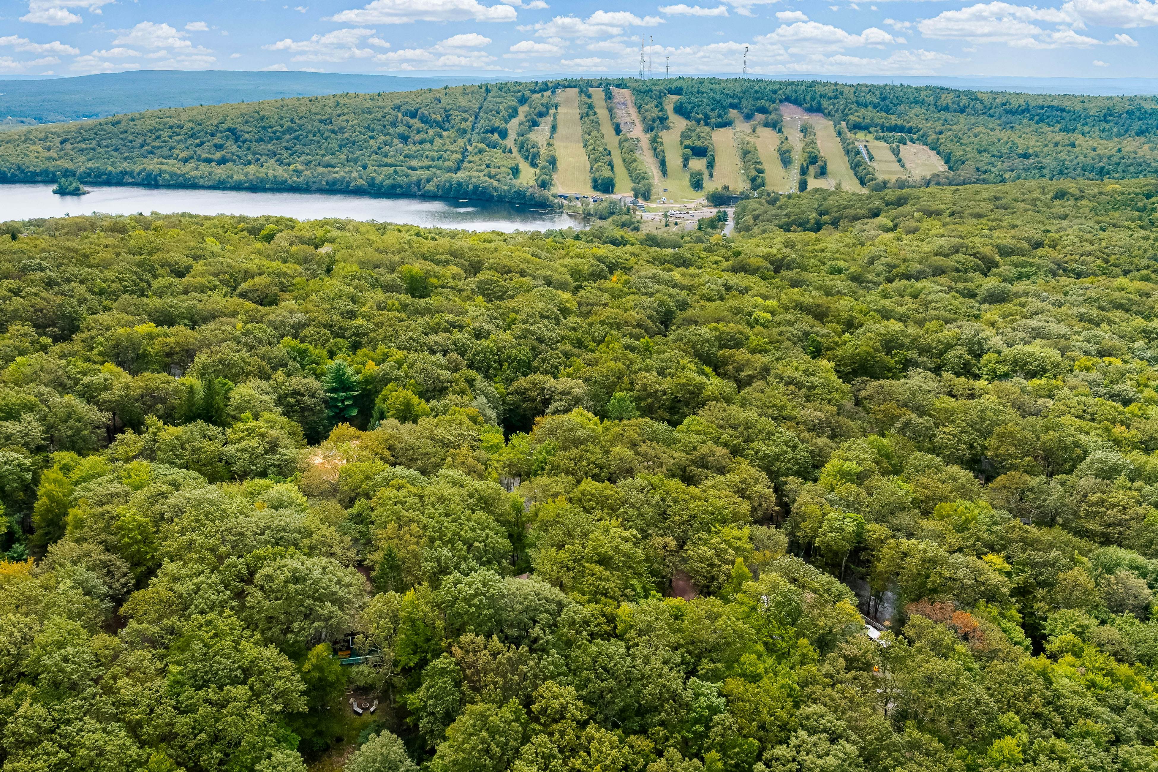 Black Bear Retreat at the Lake