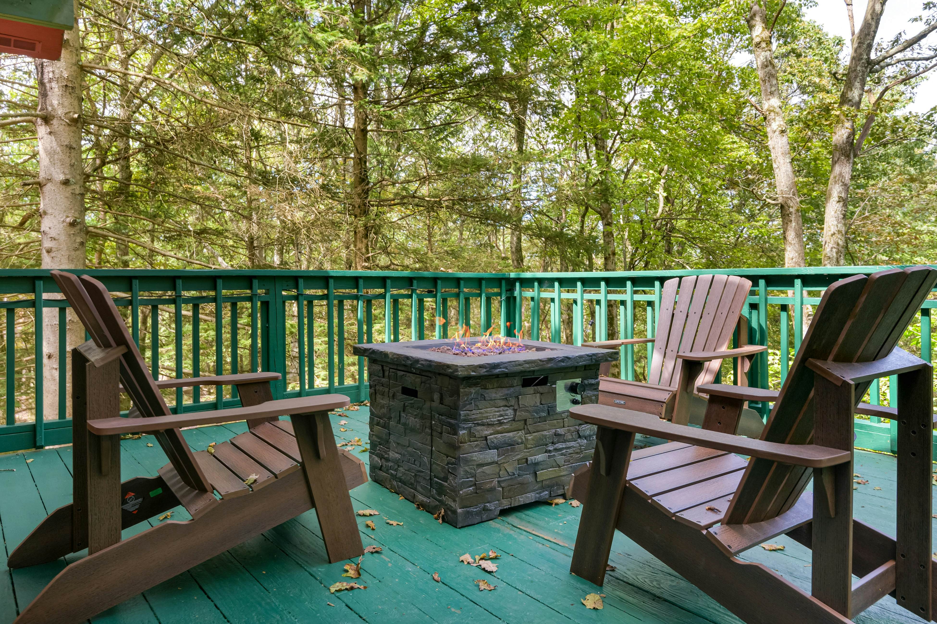 Black Bear Retreat at the Lake