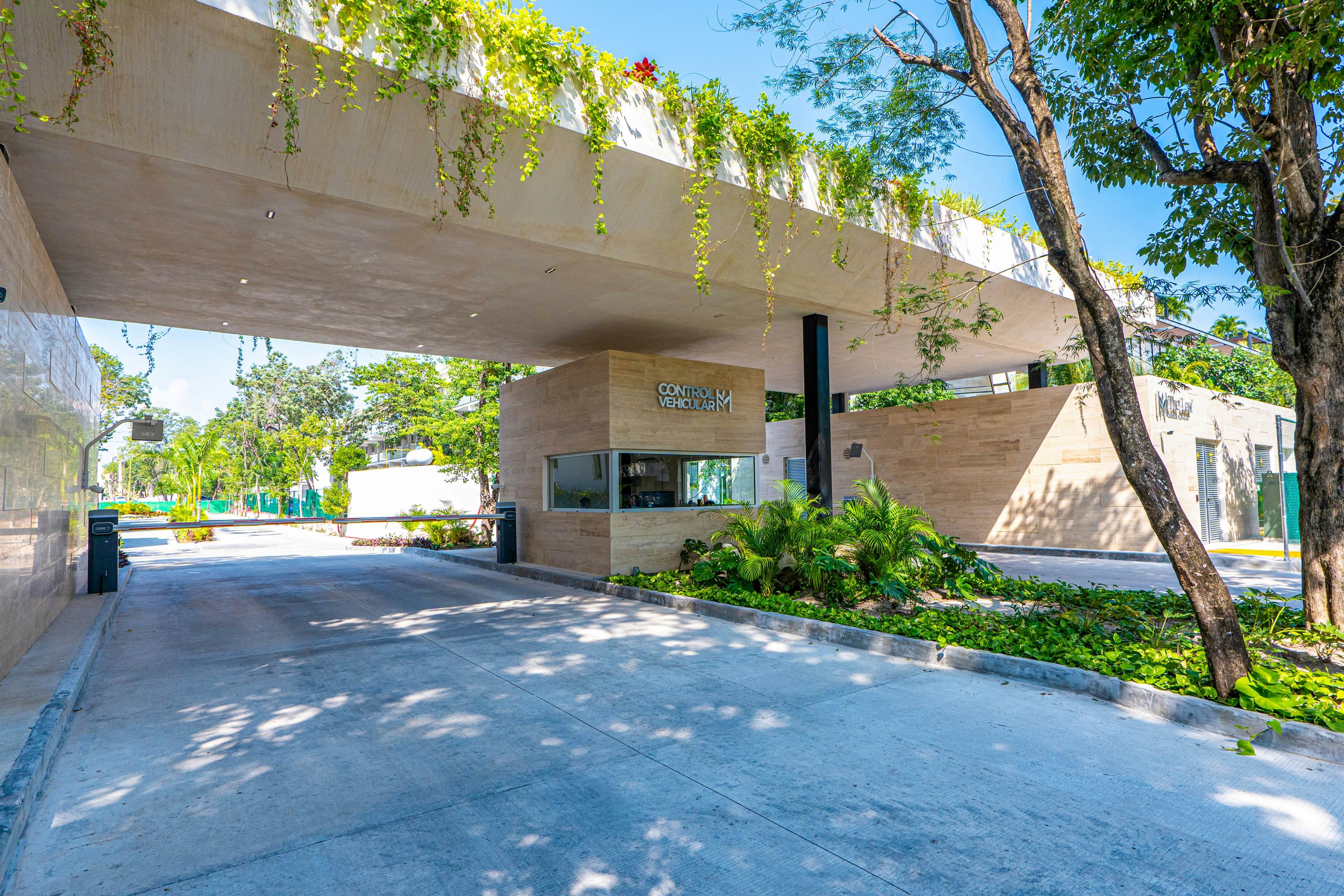 Ocean Whispers TL A206- One bedroom